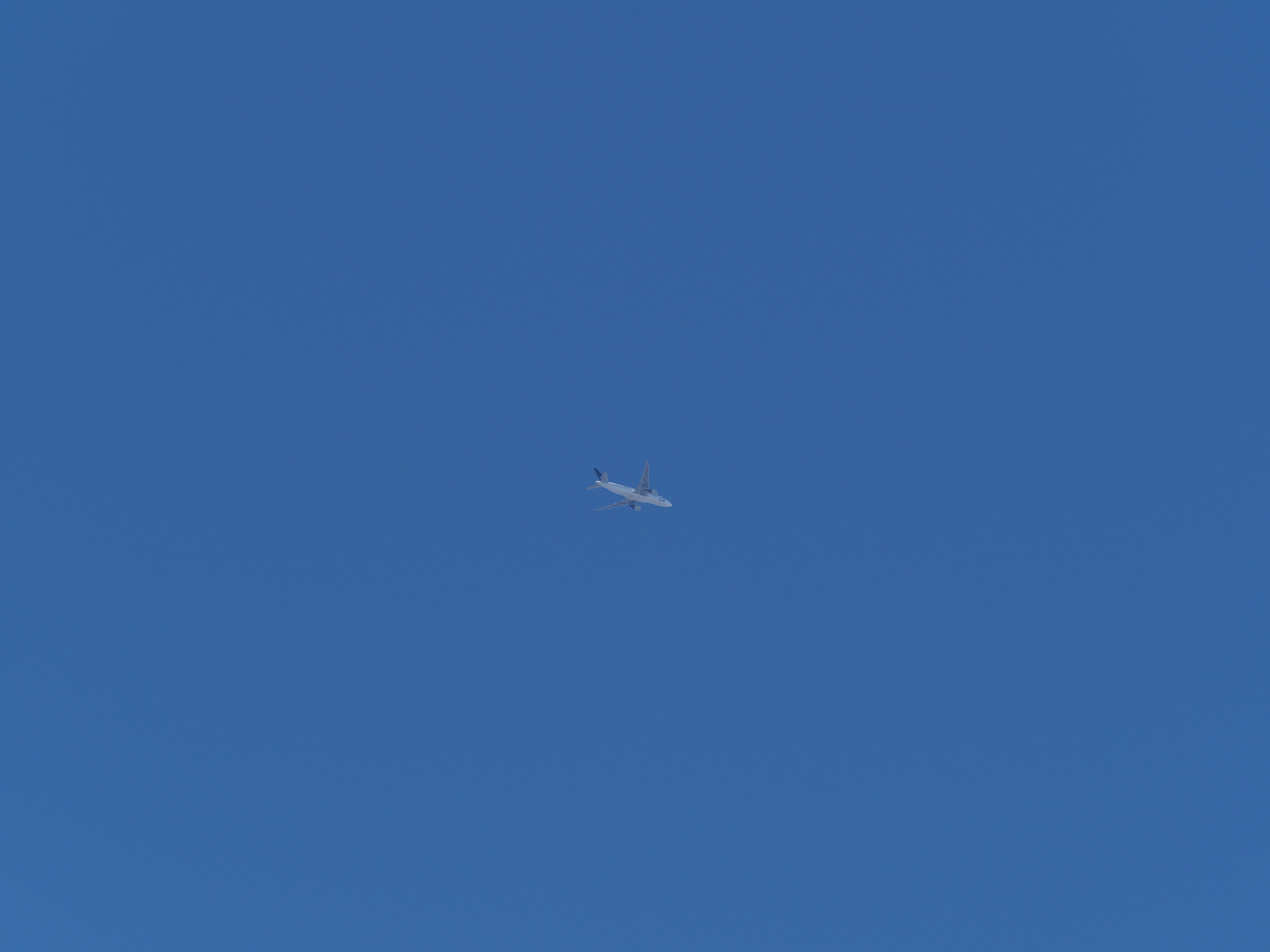 P1130025.jpg