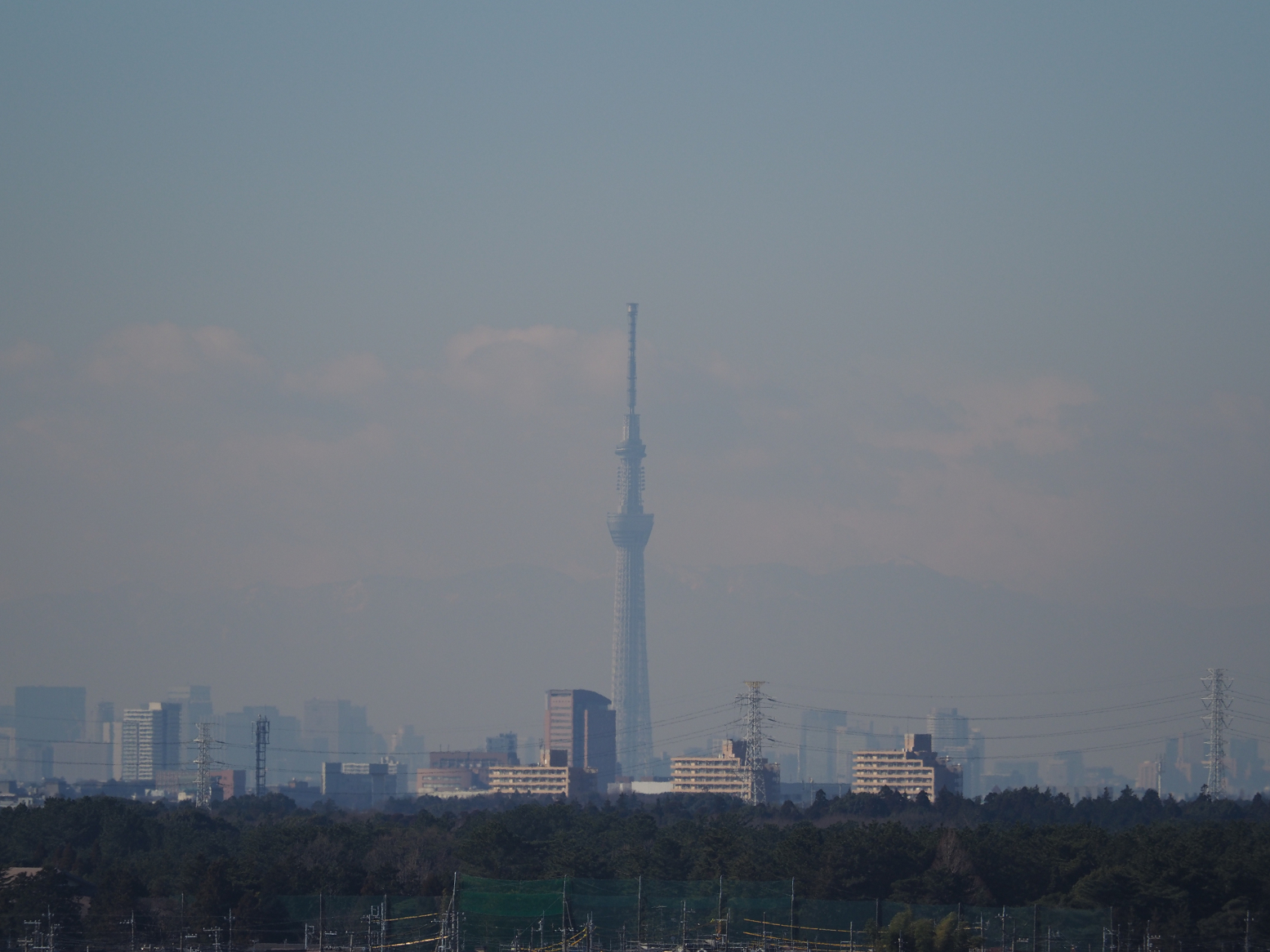 P1130029.jpg