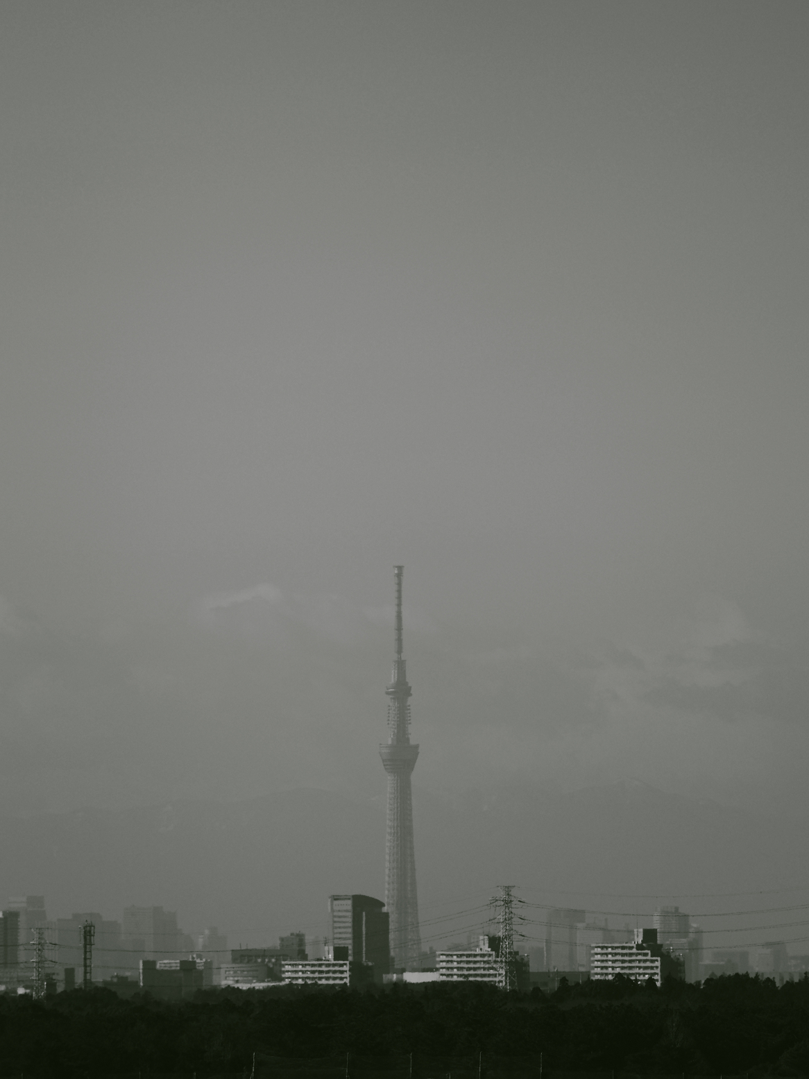 P1130032.jpg
