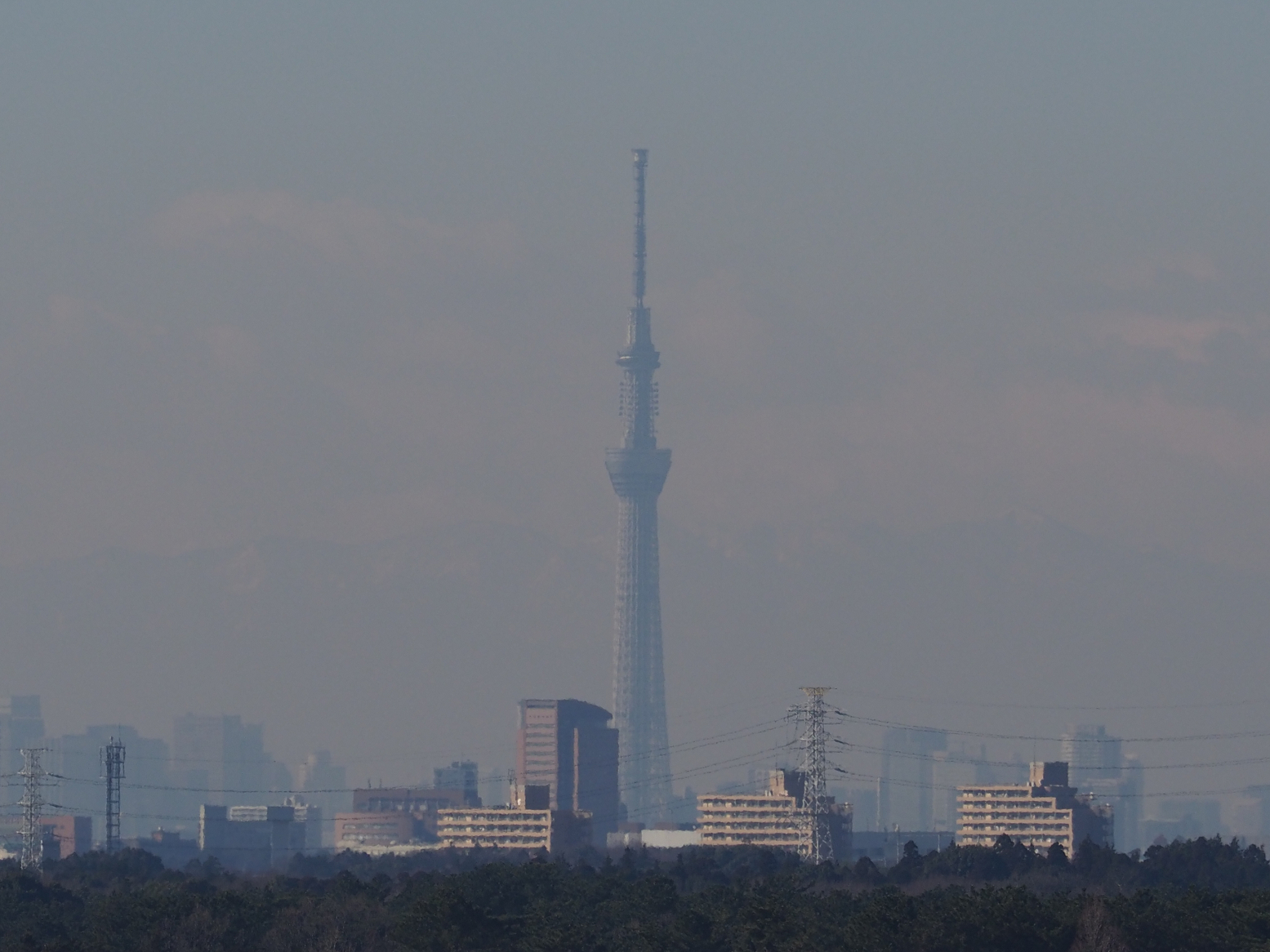 P1130039.jpg