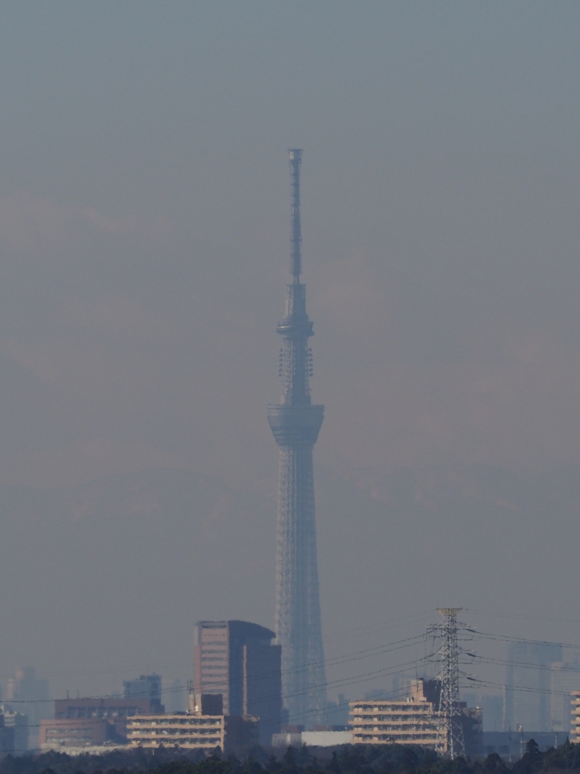 P1130040.jpg