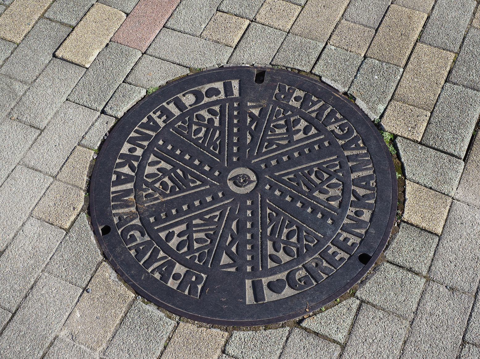 P1130049.jpg