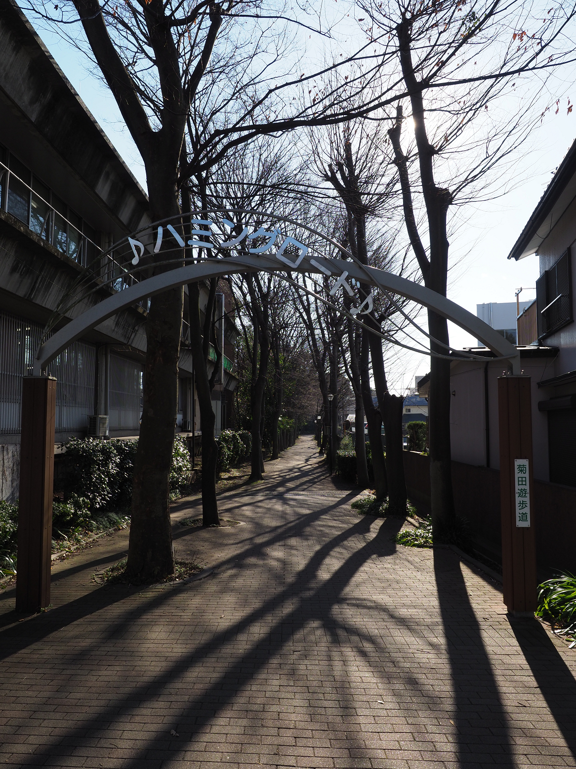 P1130061.jpg