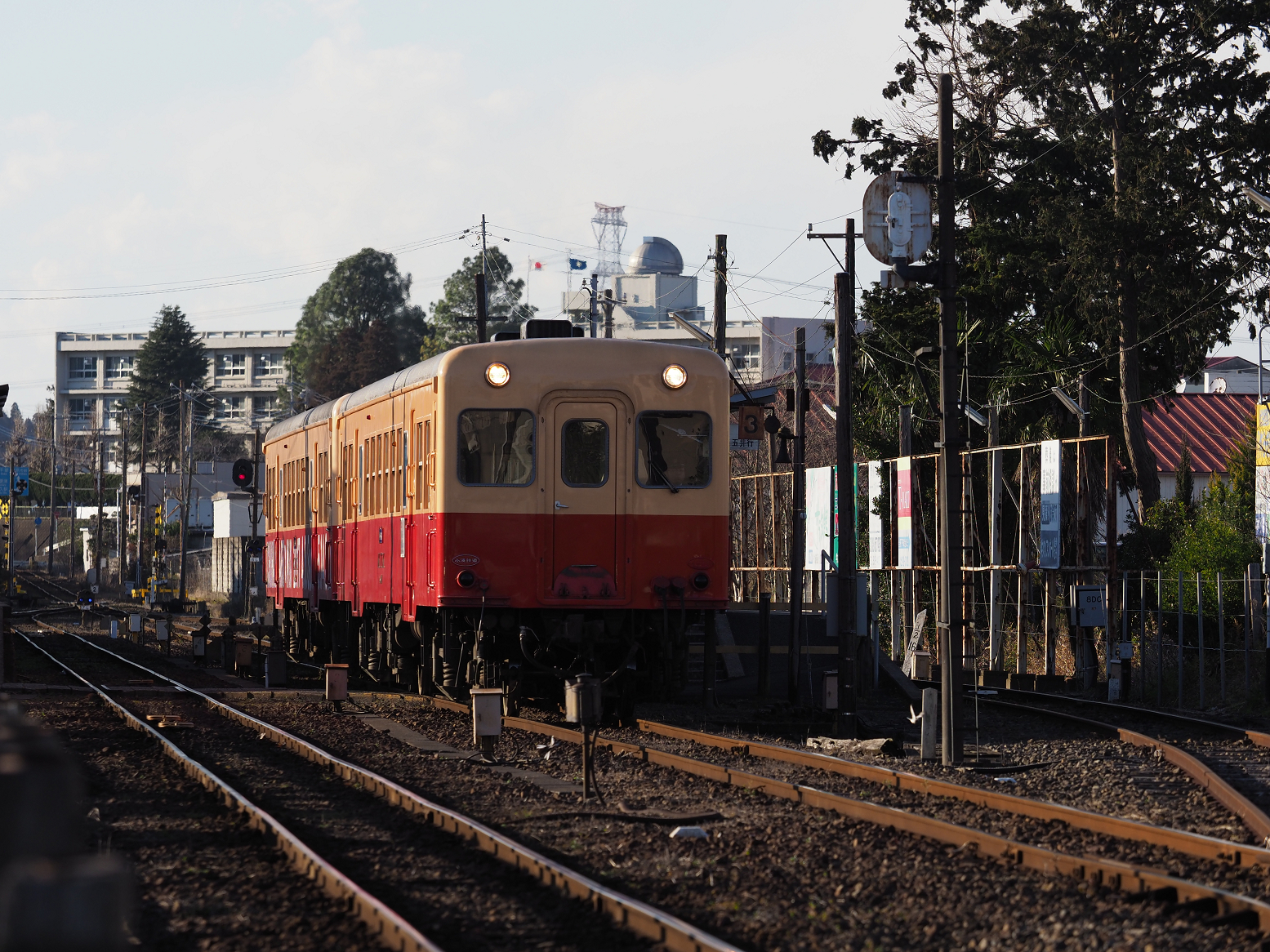 P1130131.jpg