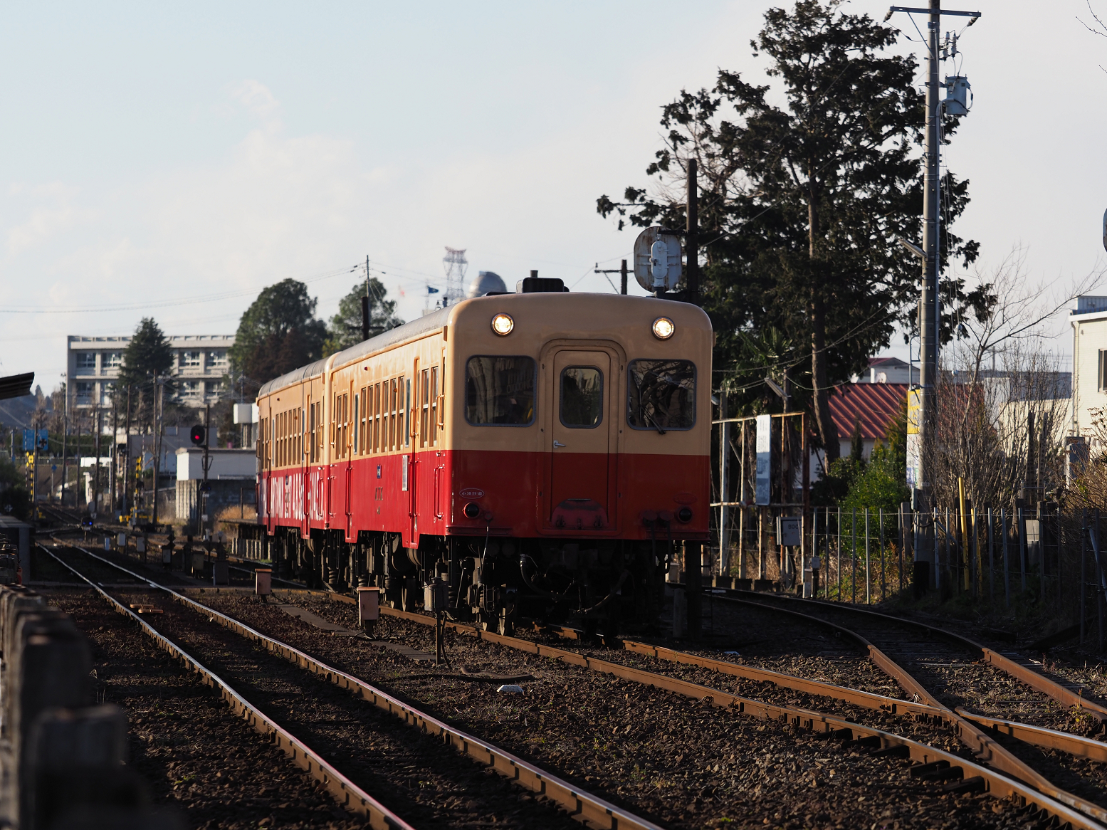 P1130134.jpg