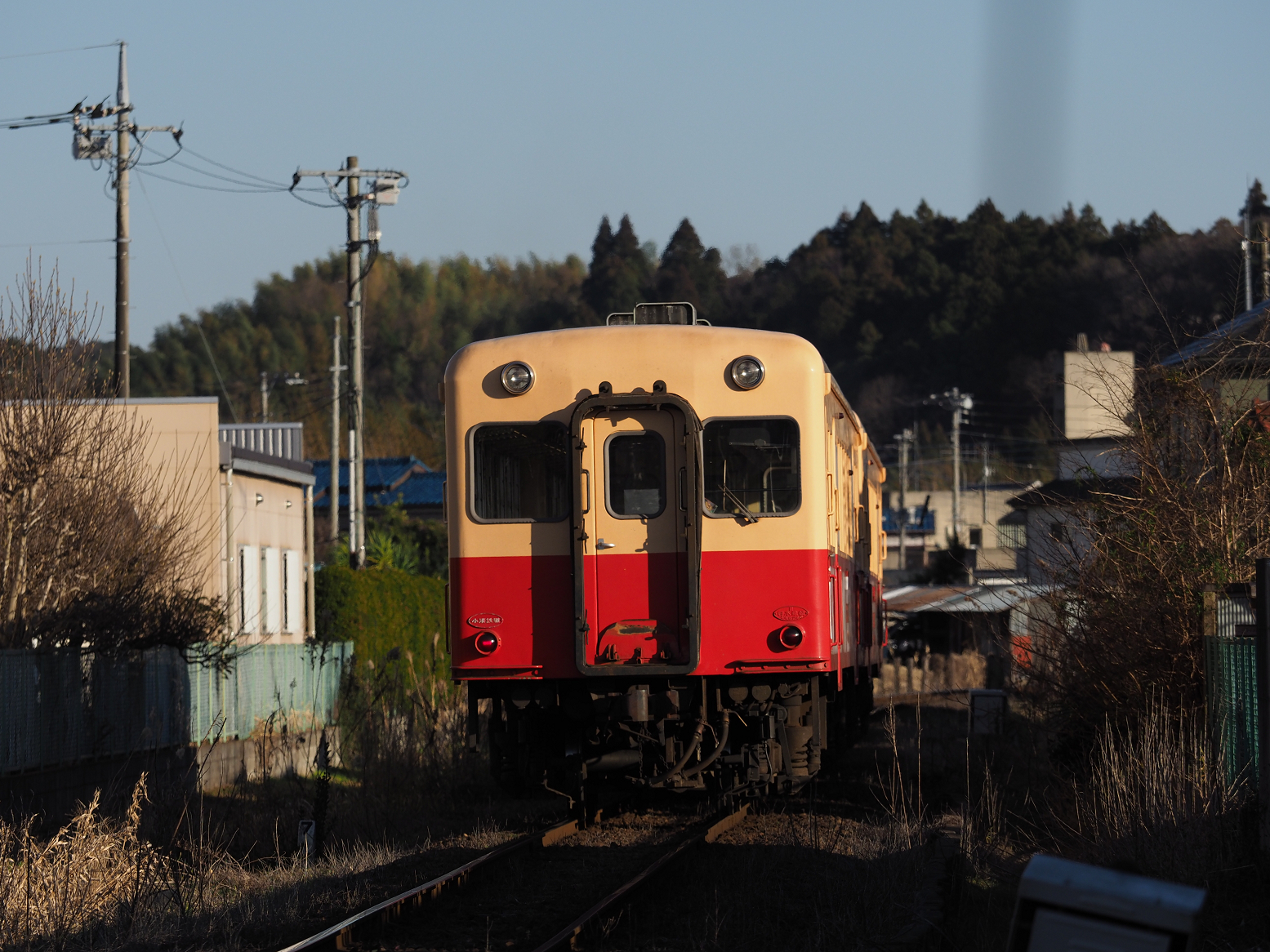 P1130179.jpg