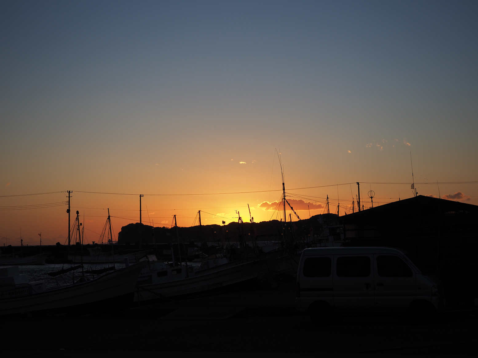P1130201.jpg