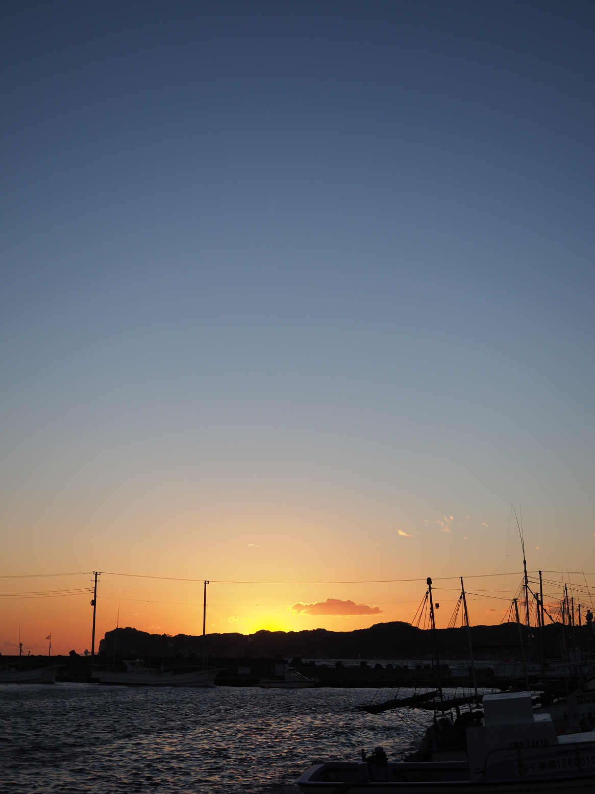 P1130204.jpg