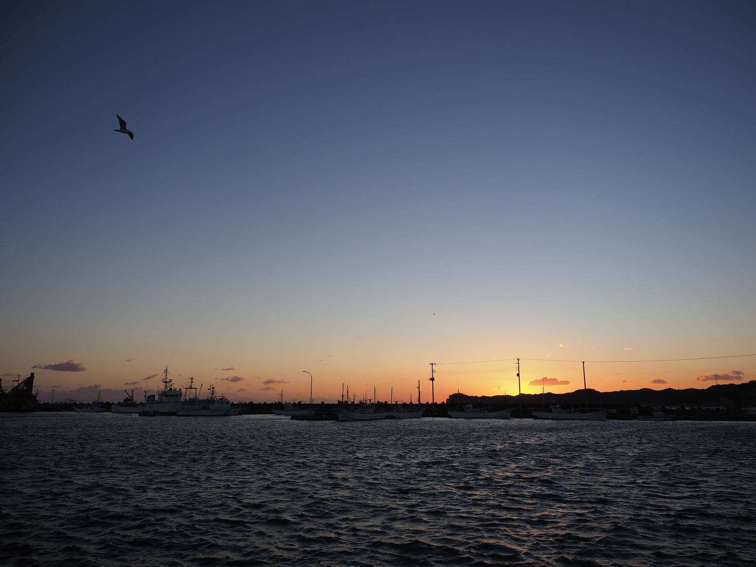 P1130214.jpg