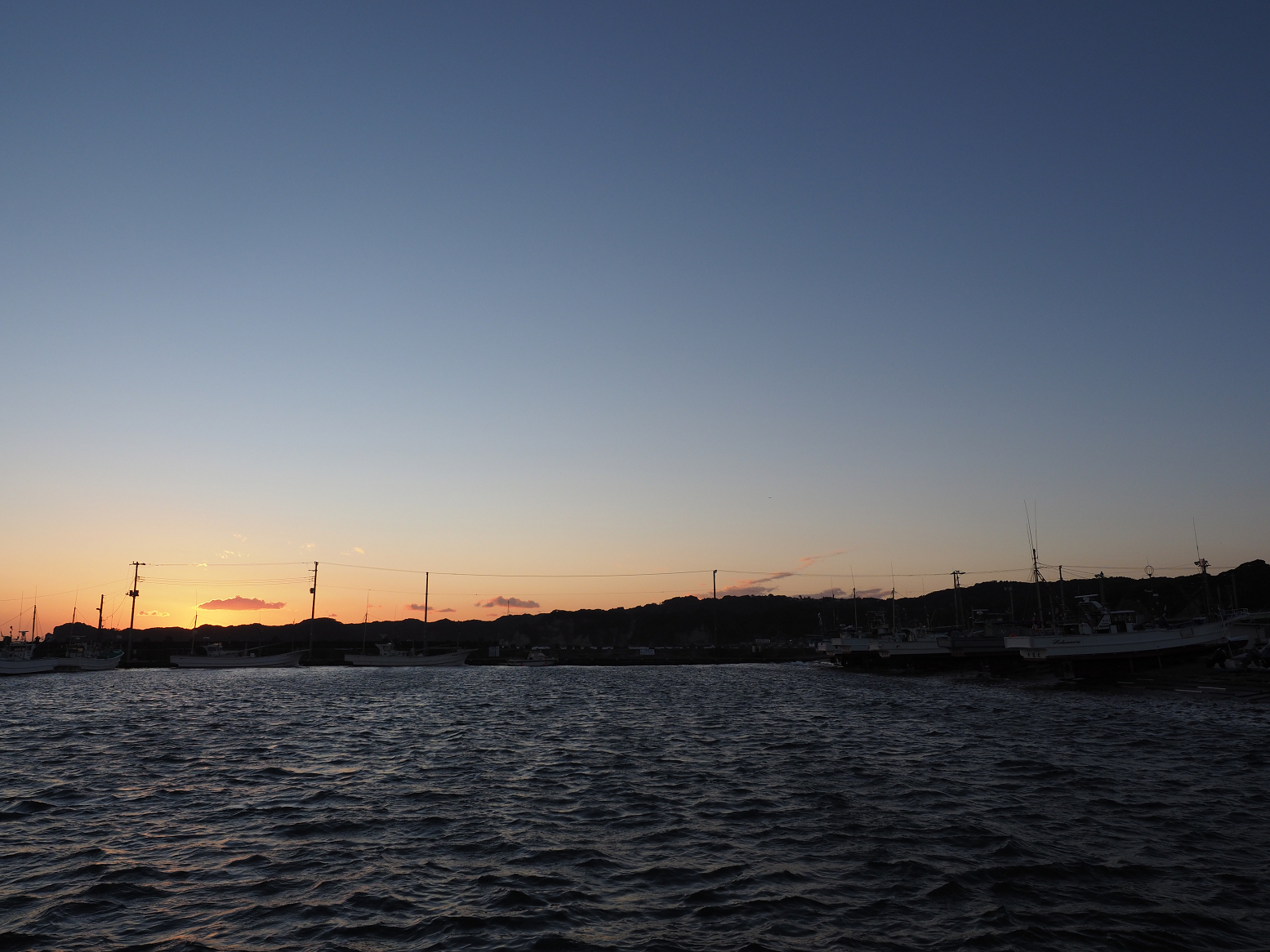P1130226.jpg