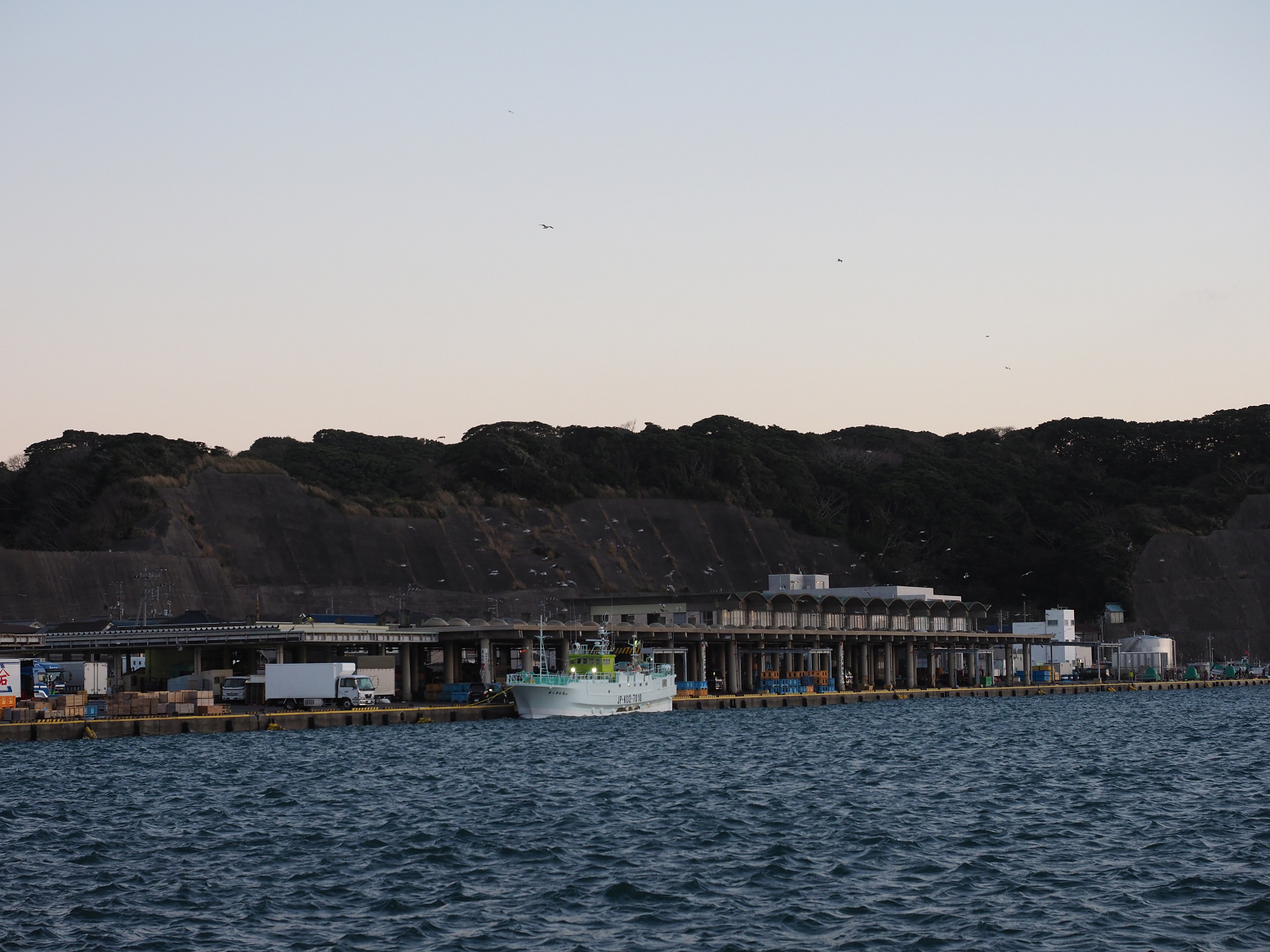 P1130229.jpg