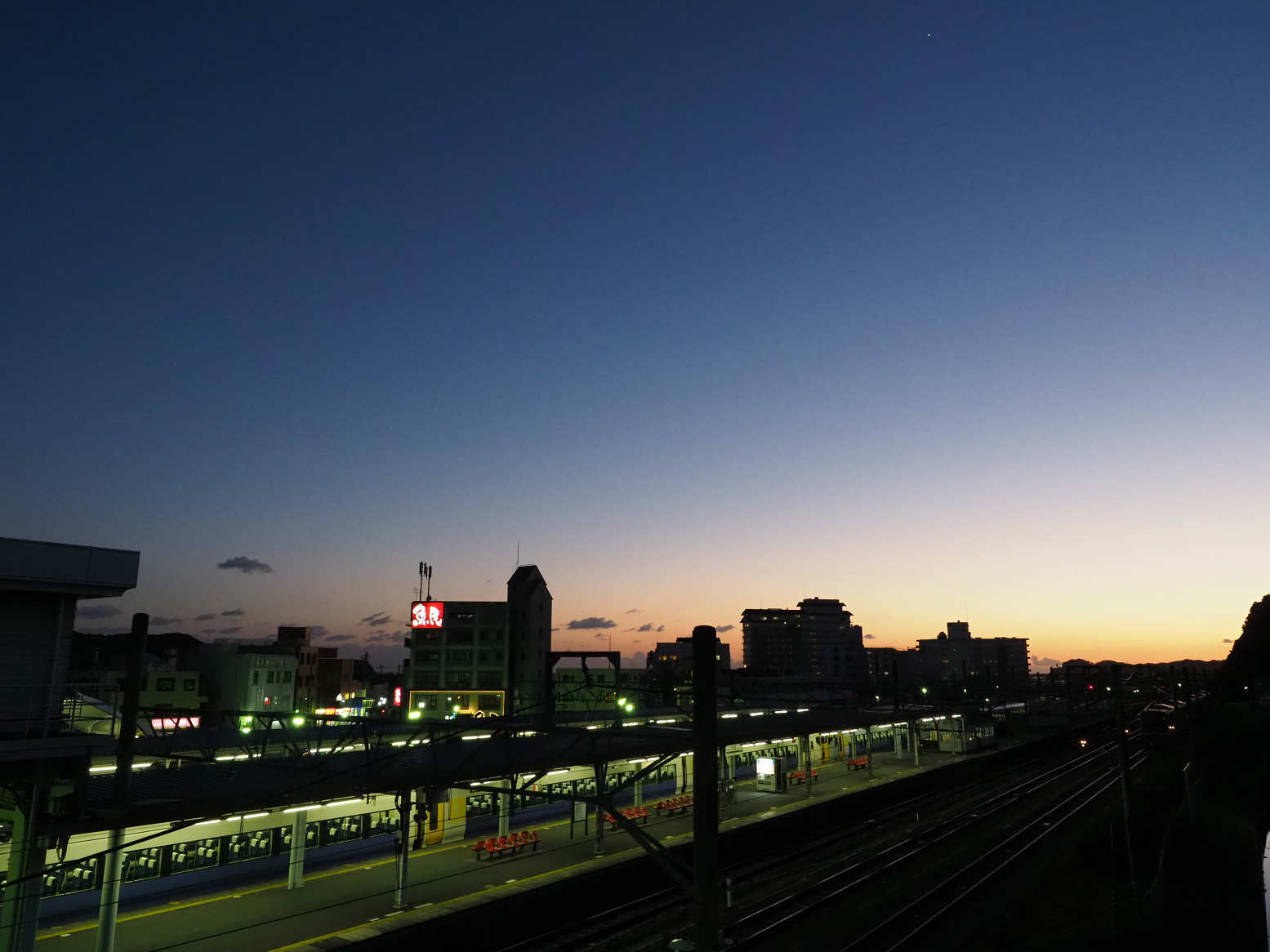 P1130259.jpg