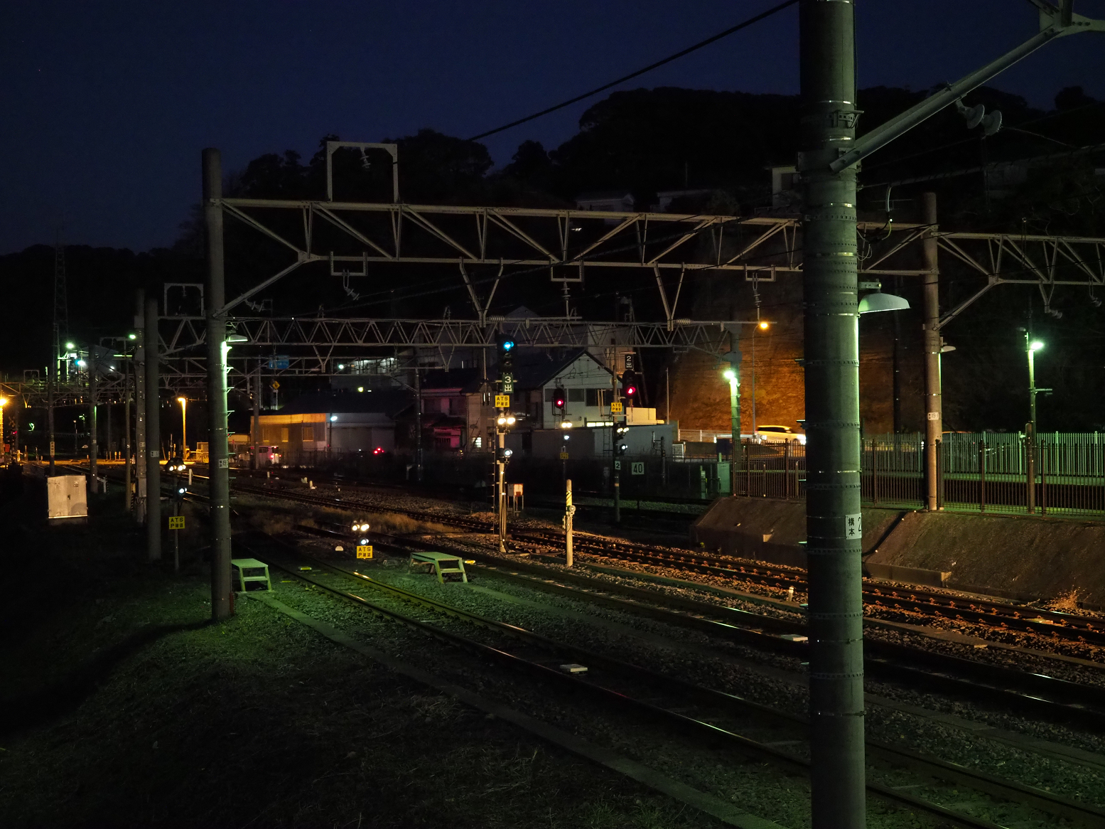 P1130297.jpg