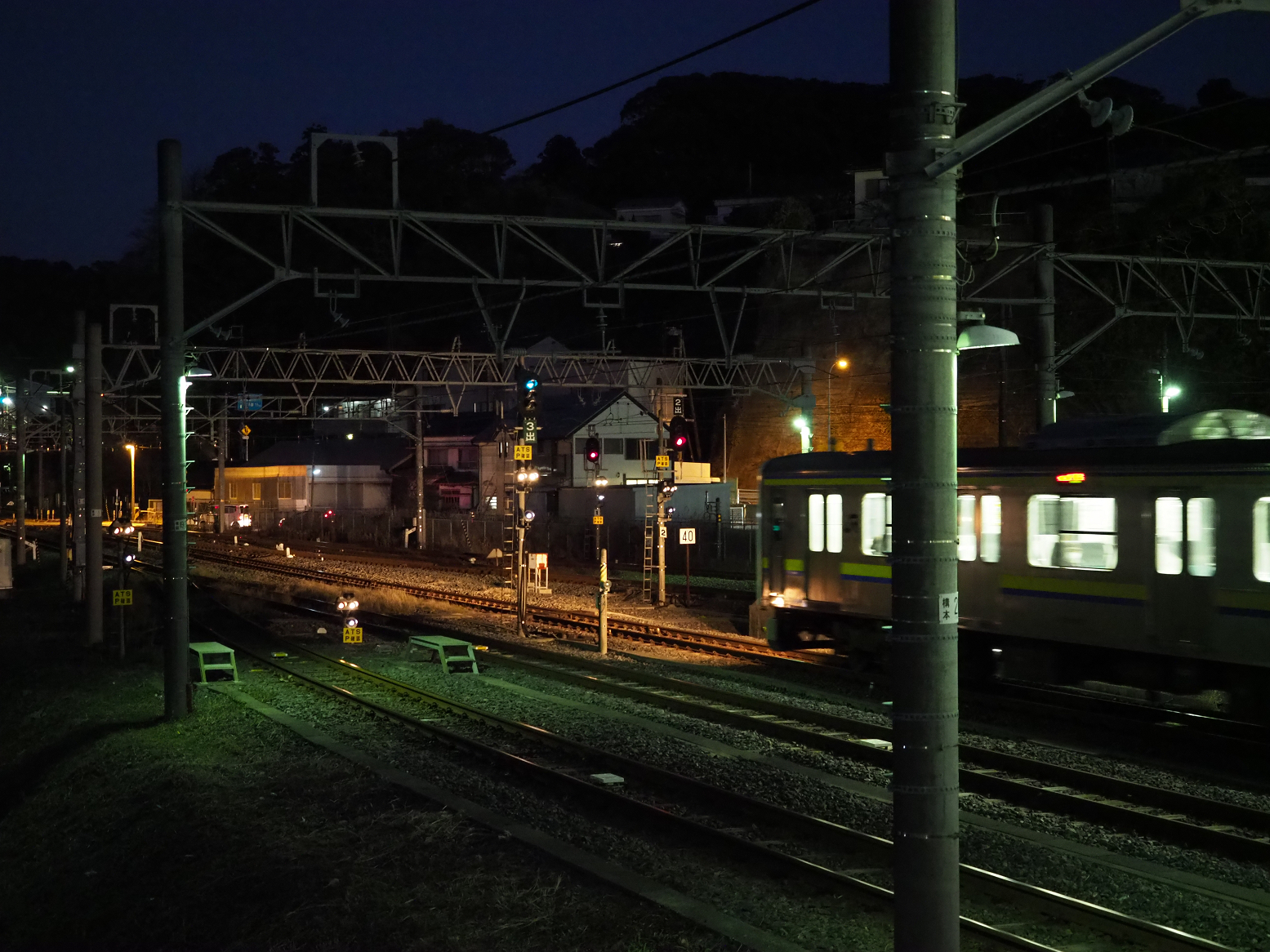 P1130298.jpg