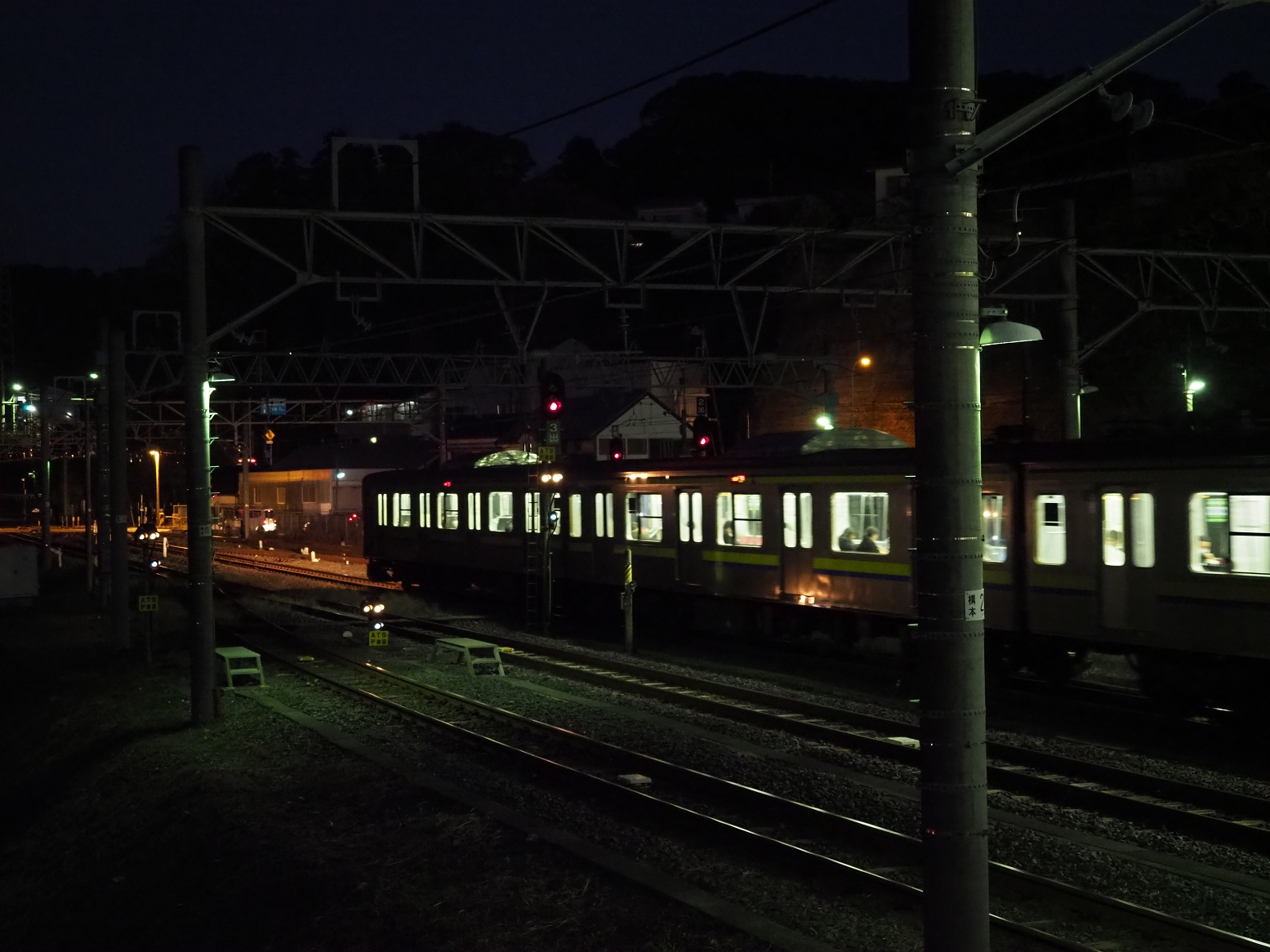 P1130299.jpg