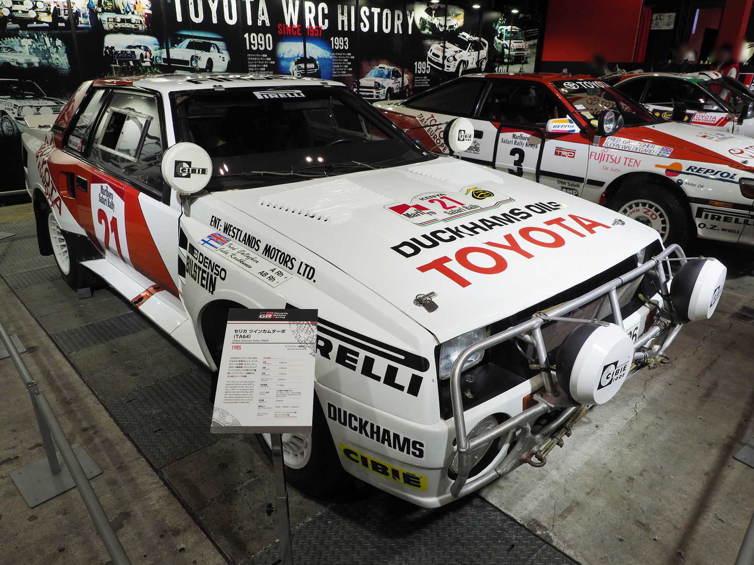P1140631.jpg
