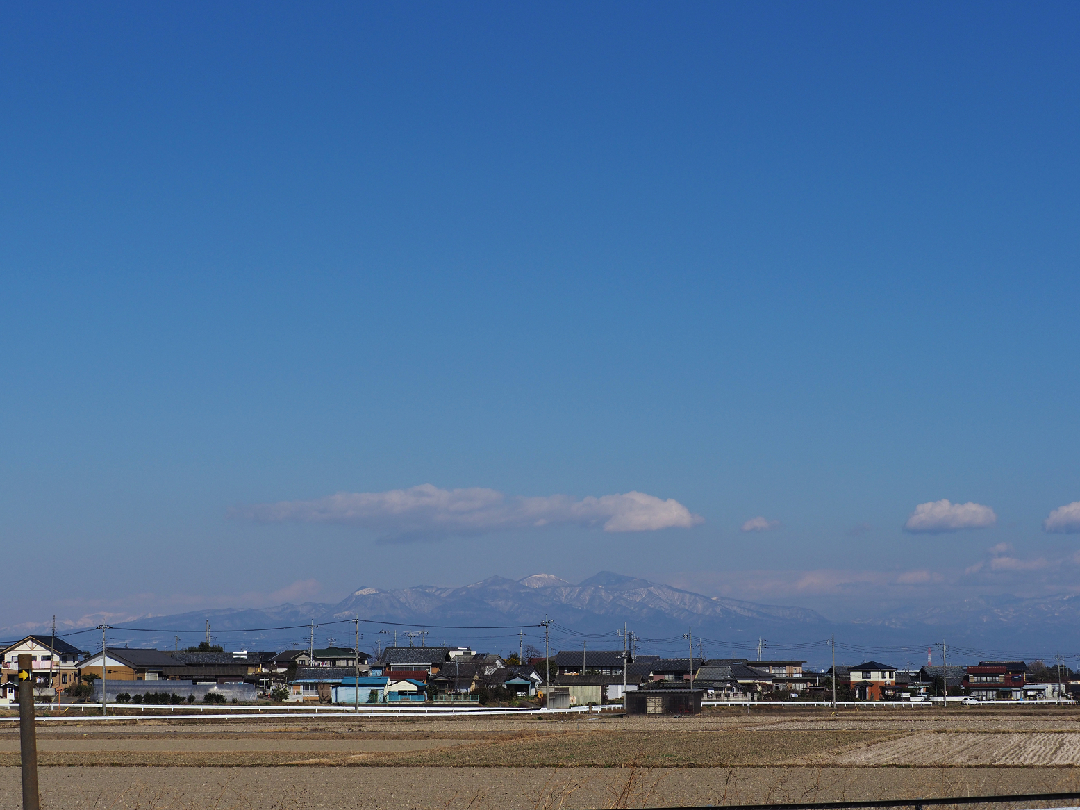 P1221020.jpg
