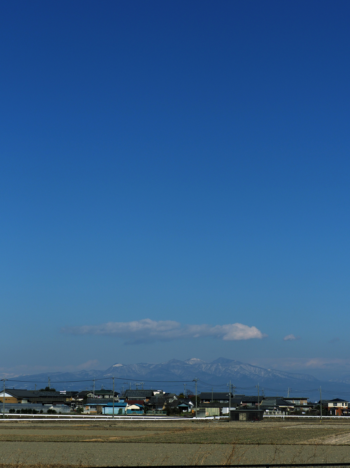 P1221021.jpg