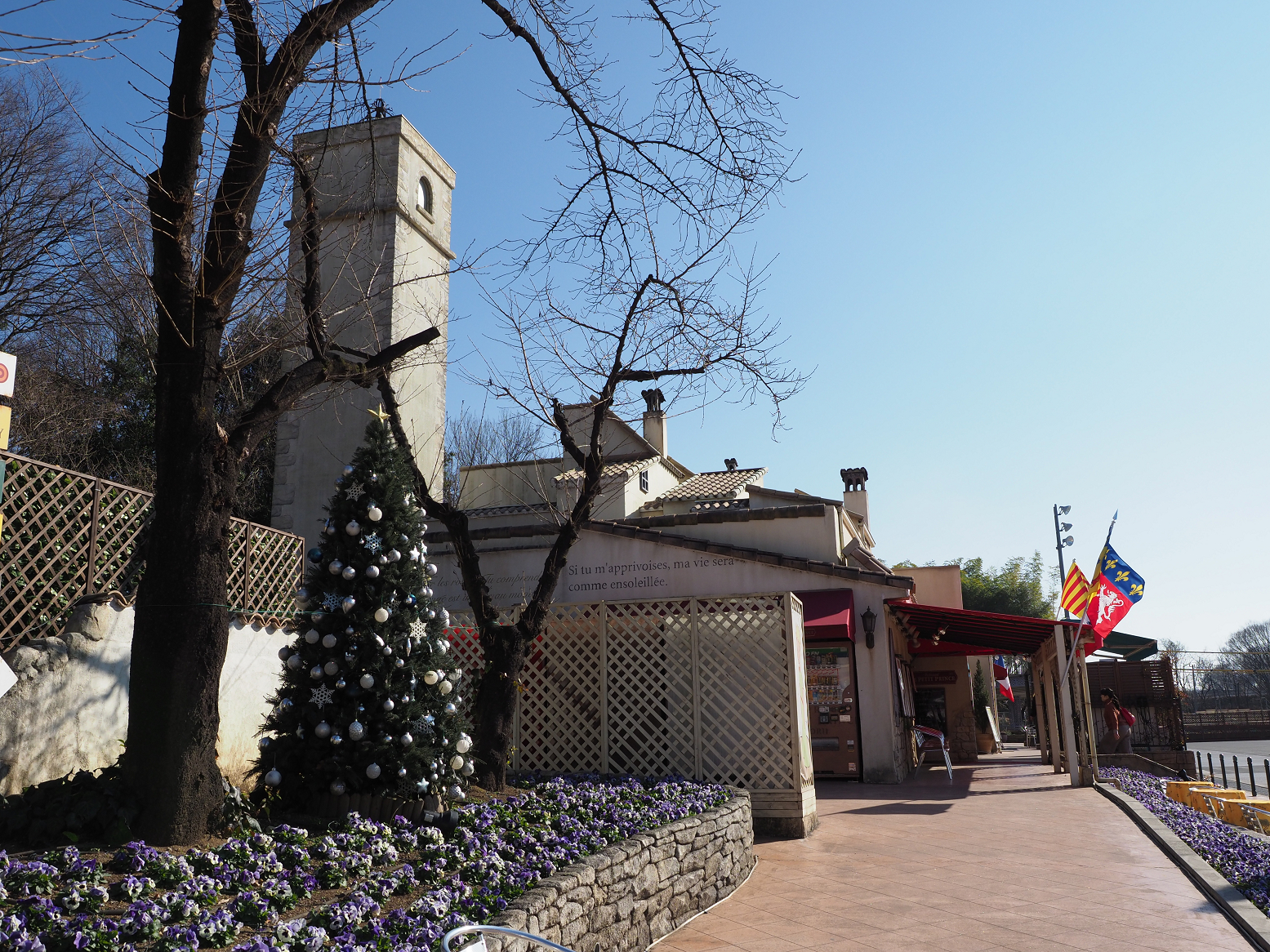 P1221176.jpg