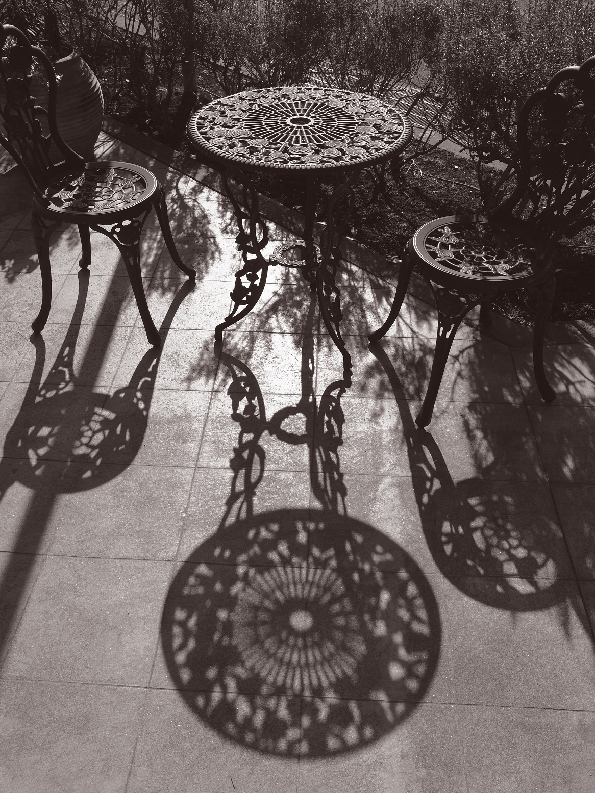 P1221217-.jpg
