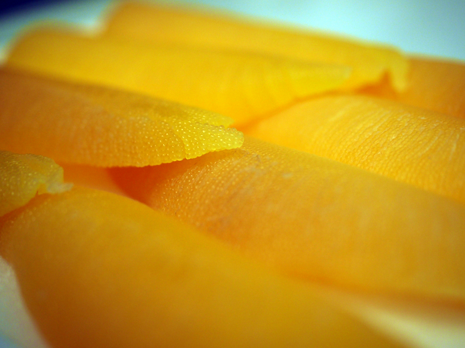 P2040149.jpg