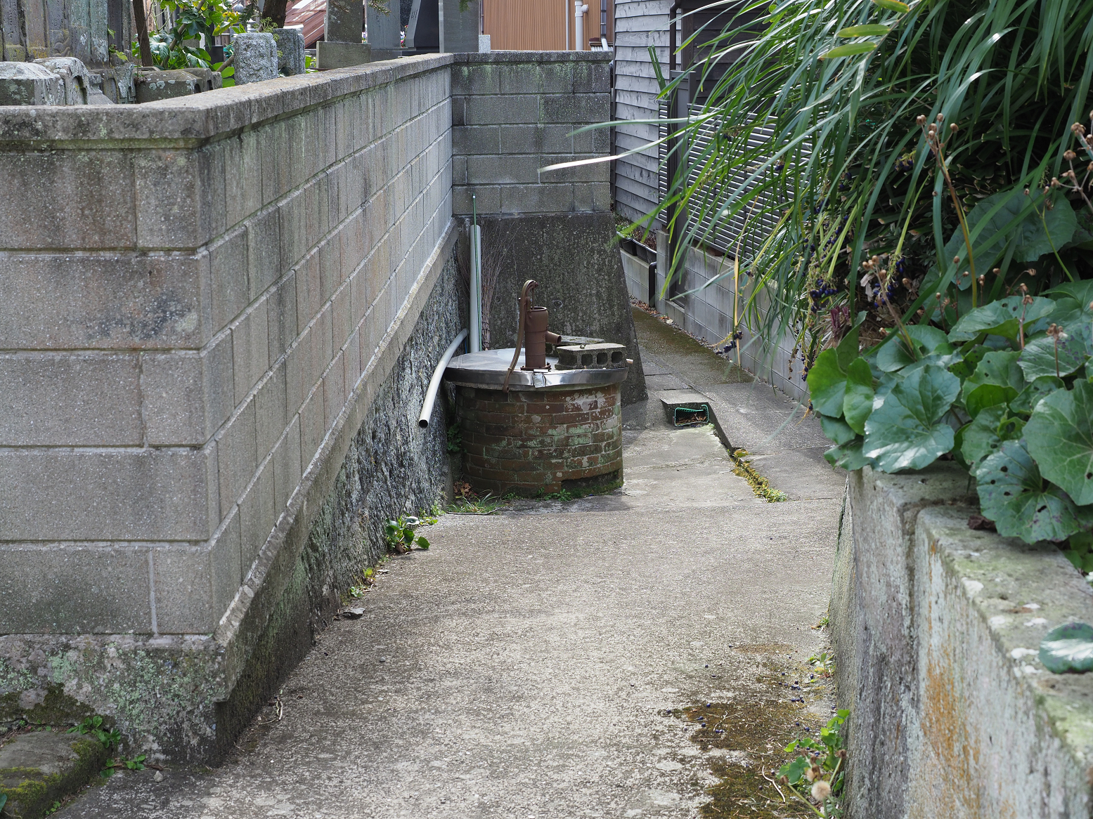 P2240070.jpg
