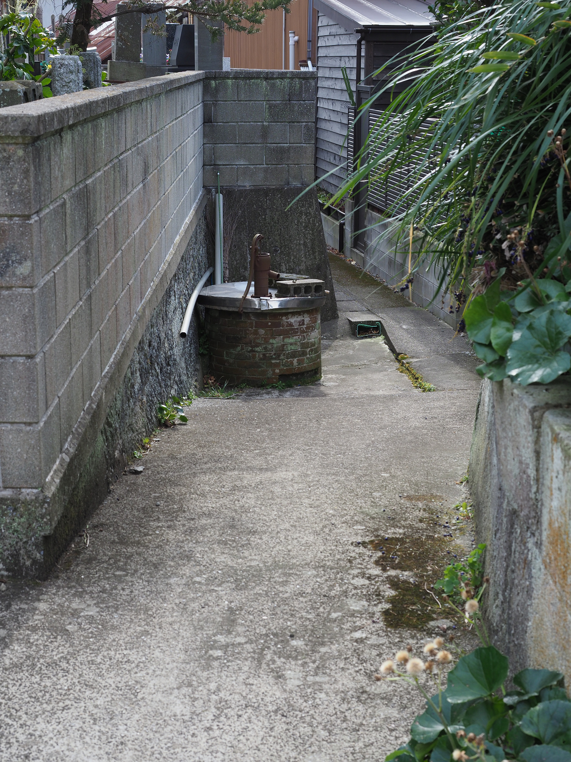 P2240071.jpg