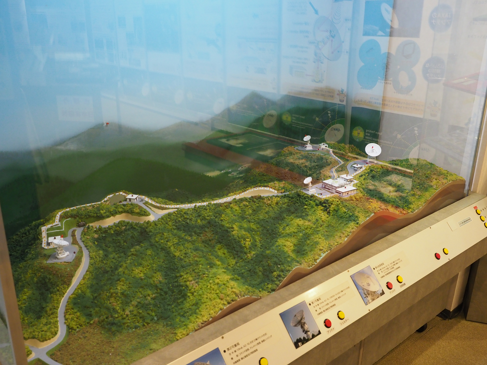 P2240156.jpg