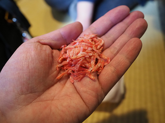 P2240275_thumb.png