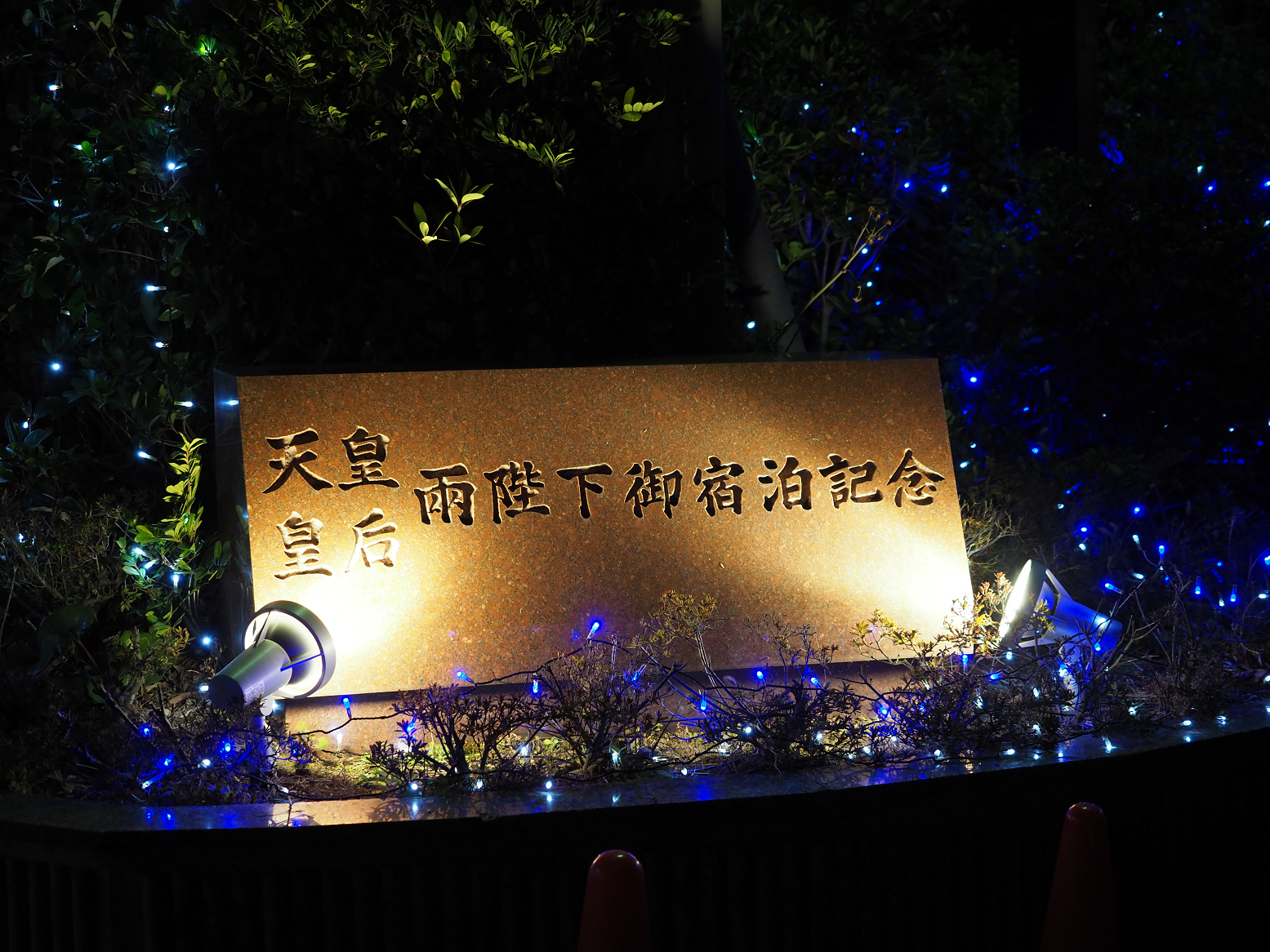 P2240277.jpg