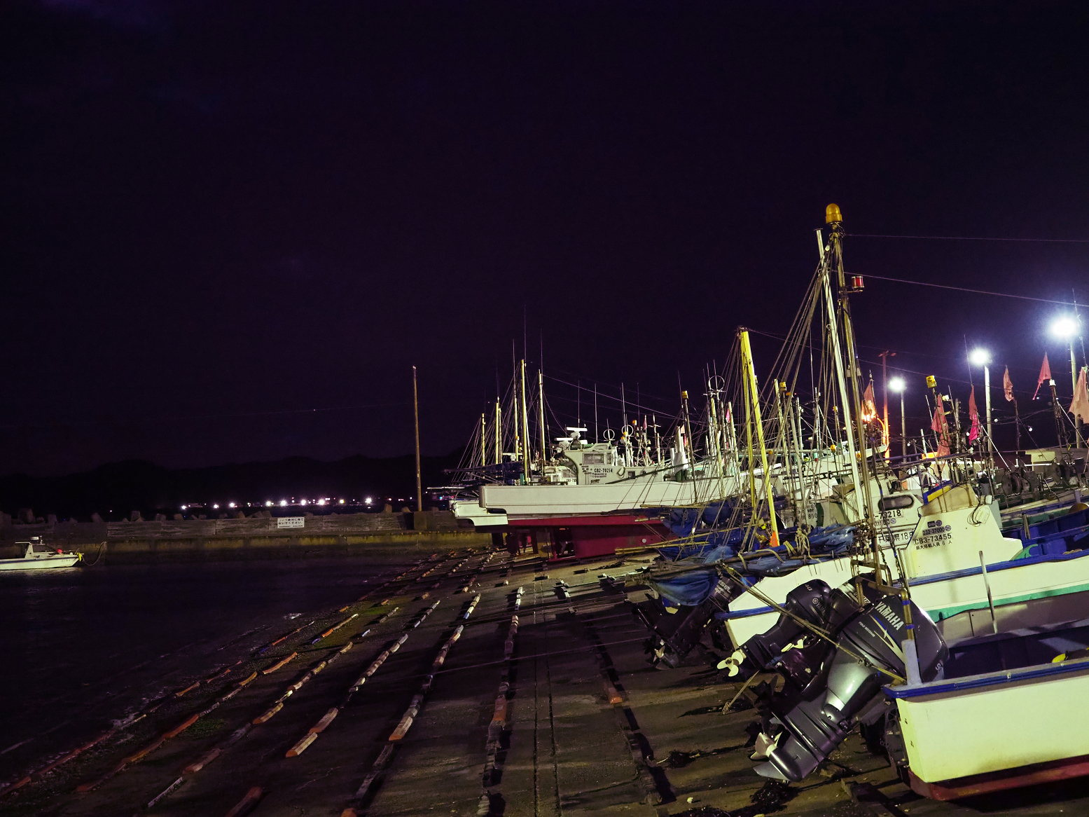 P2240292.jpg