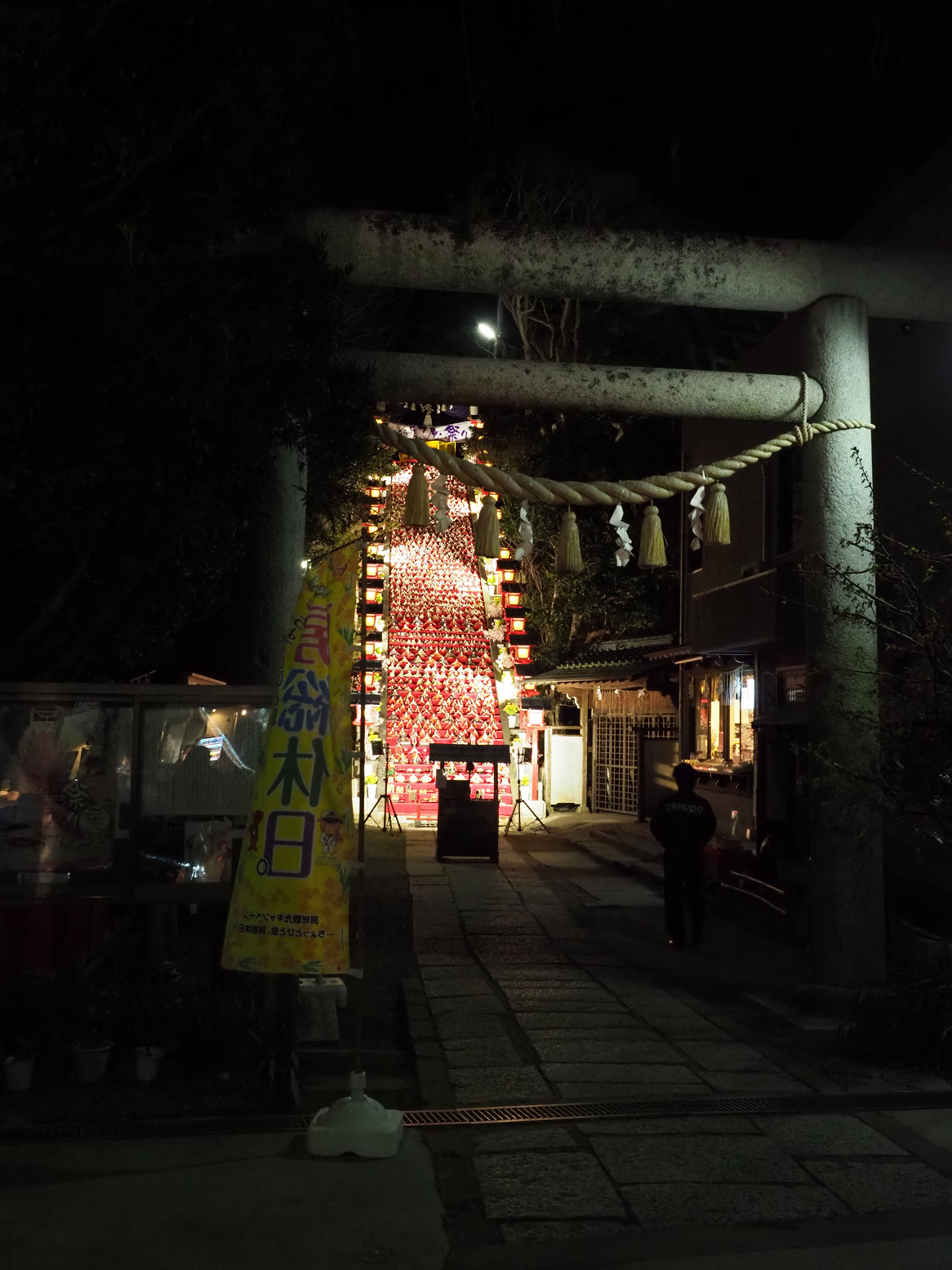 P2240333.jpg