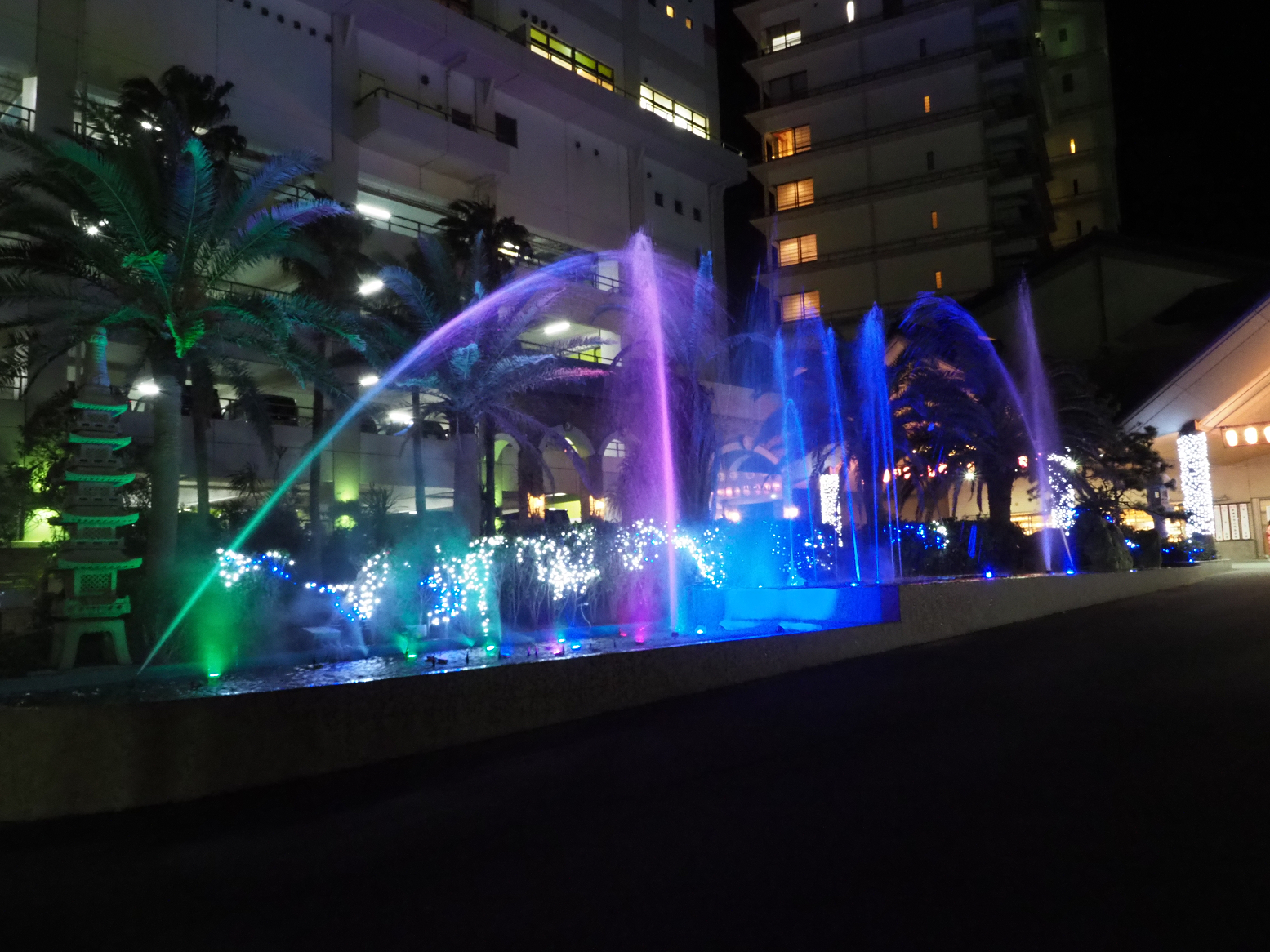 P2240369.jpg