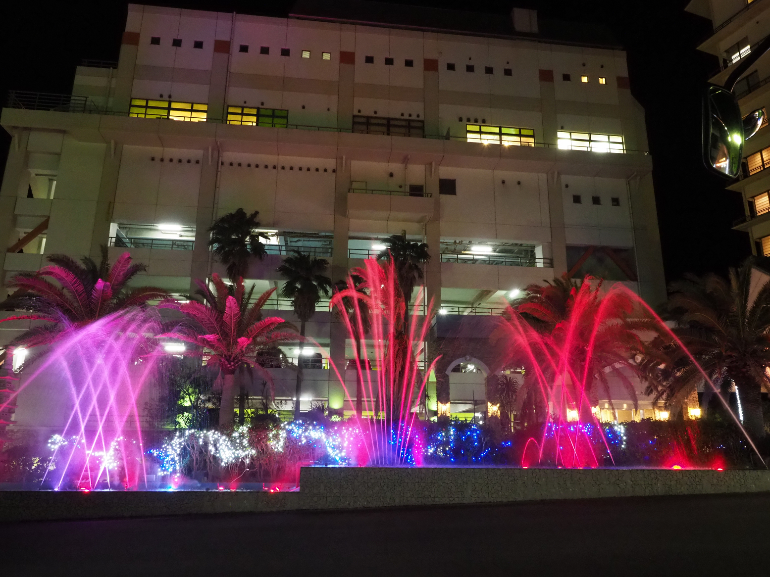 P2240381.jpg