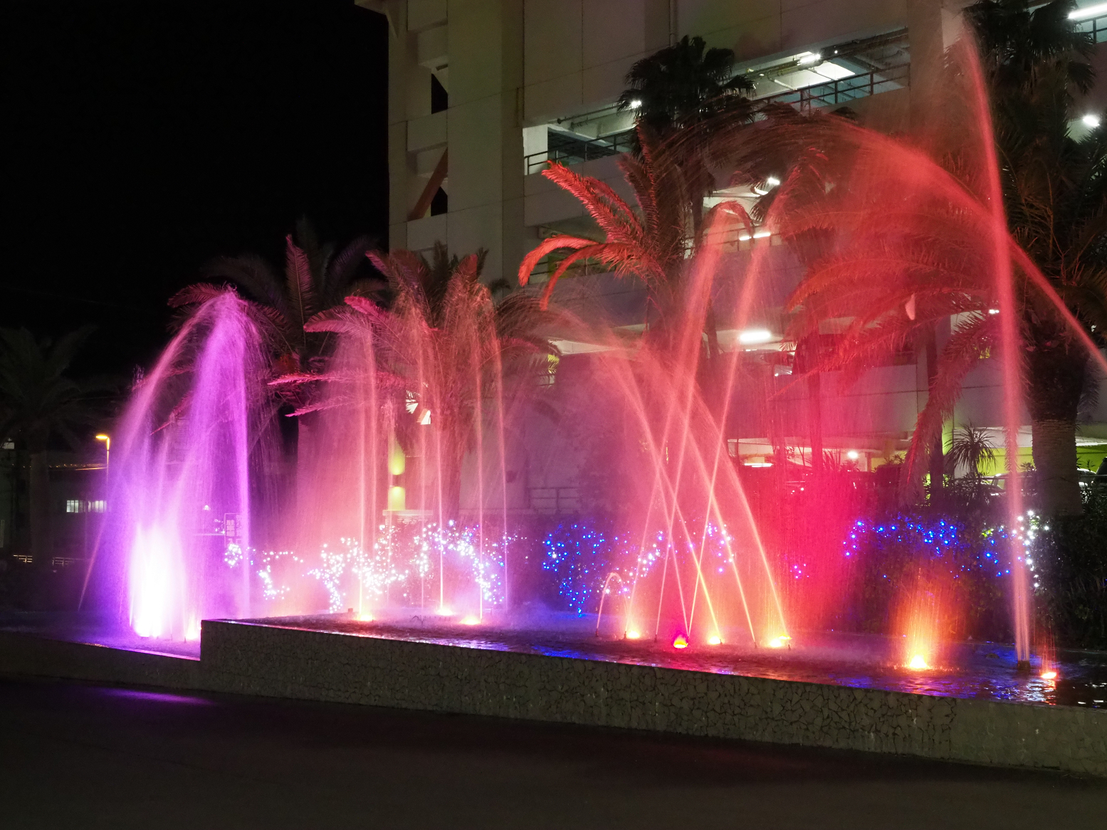 P2240410.jpg