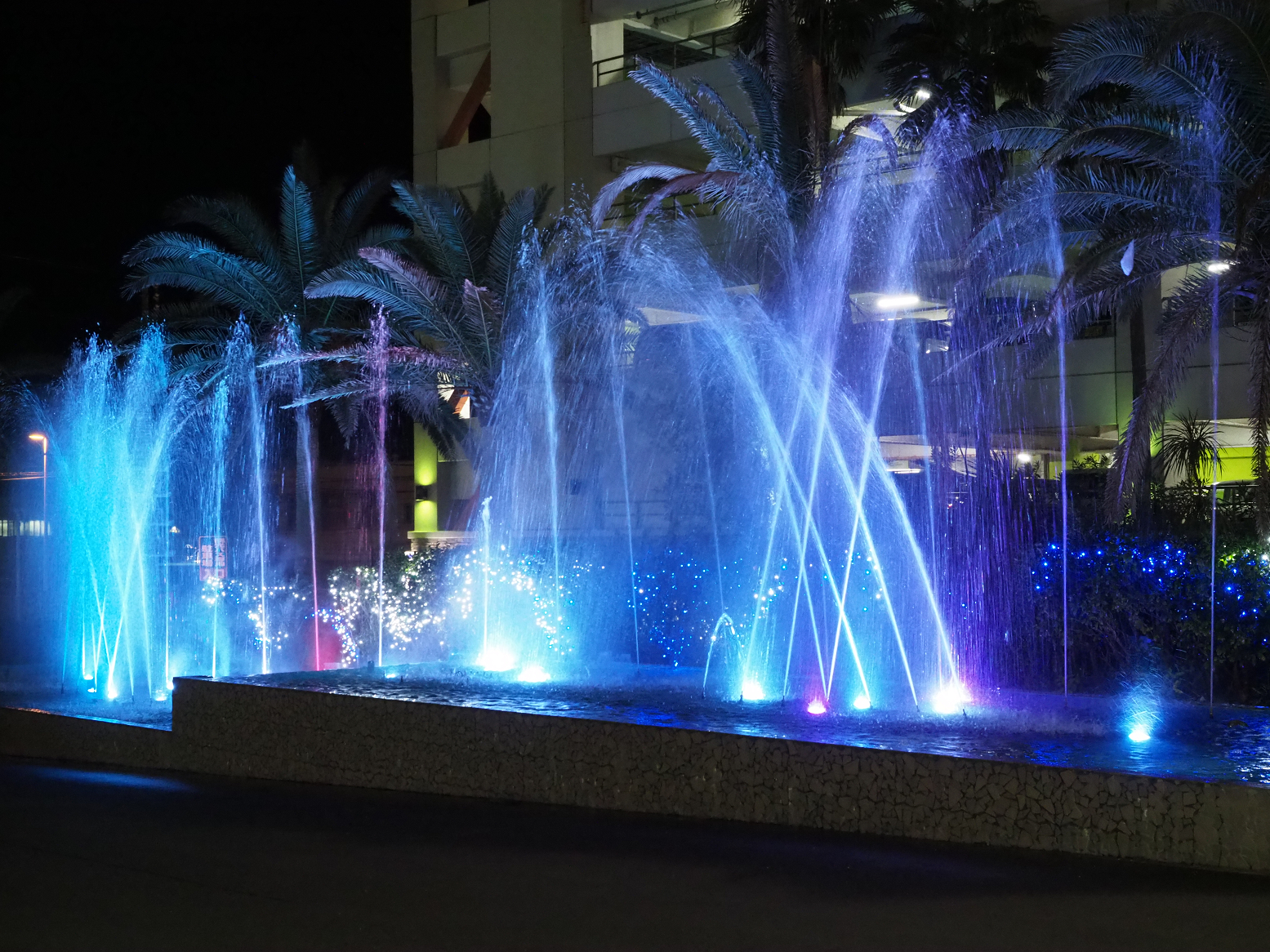 P2240420.jpg