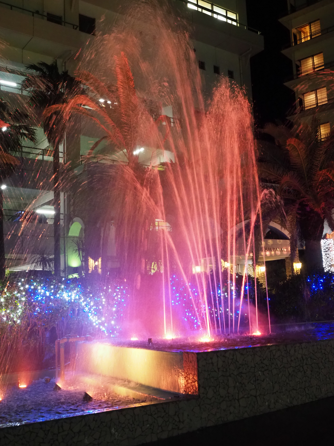 P2240421.jpg