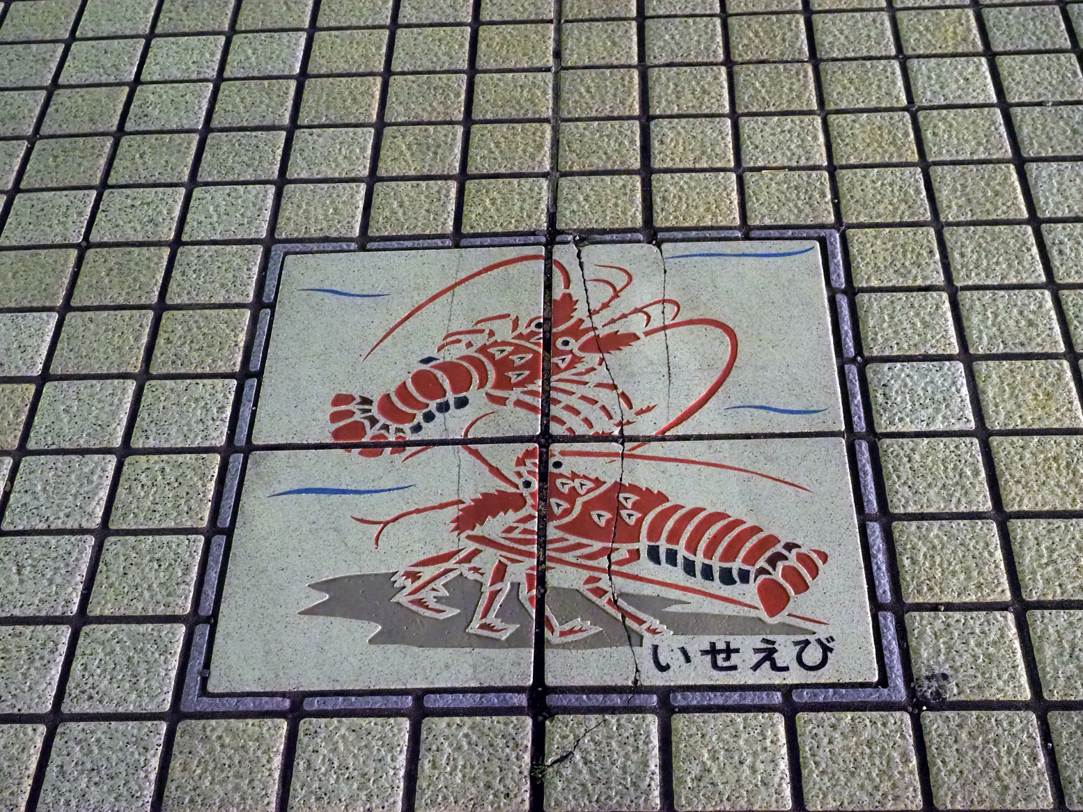 P2240440.jpg