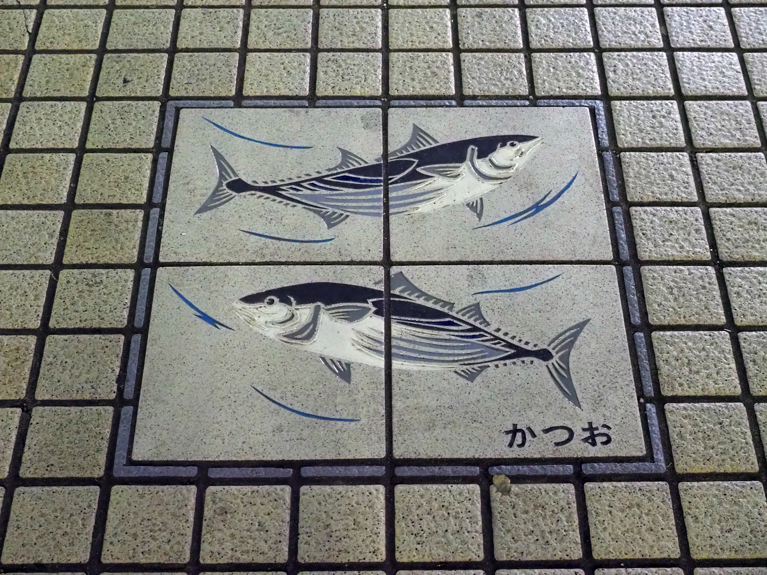 P2240441.jpg