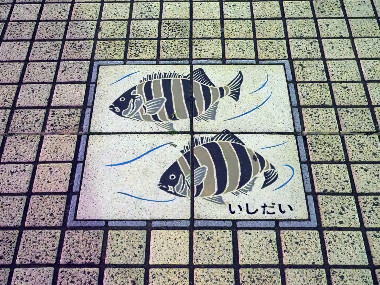 P2240448.jpg
