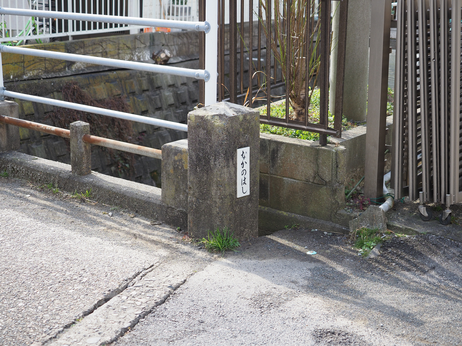 P2250451.jpg