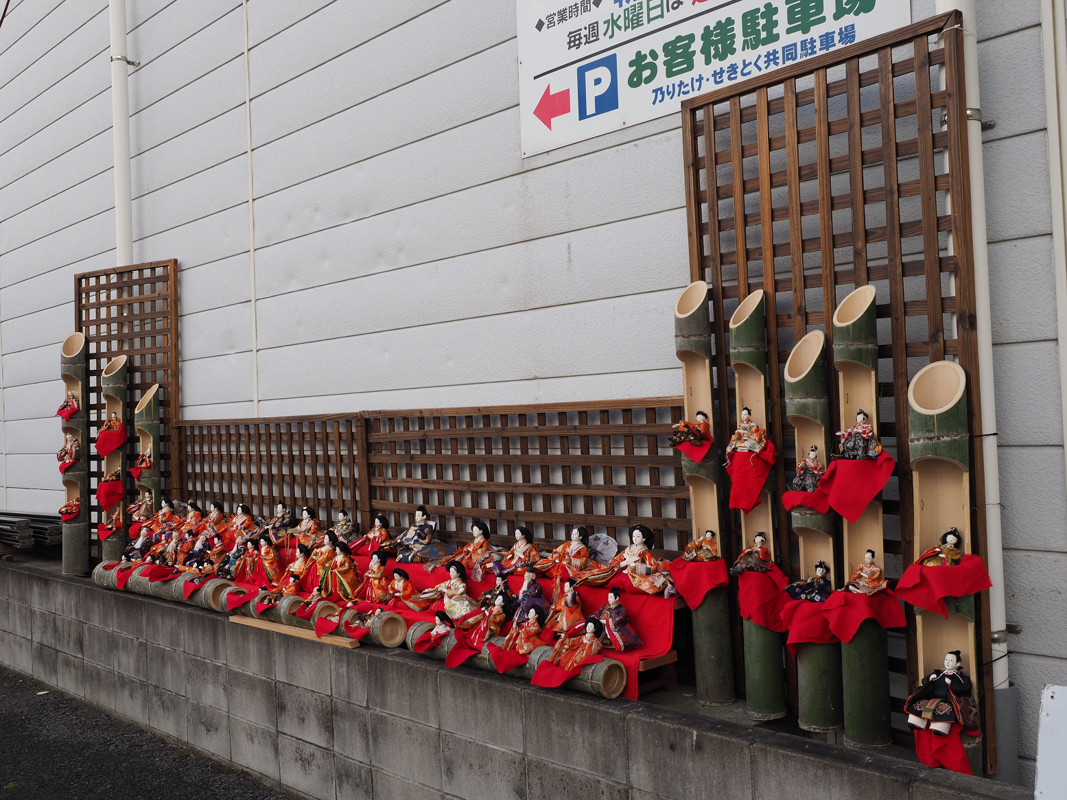 P2250472.jpg