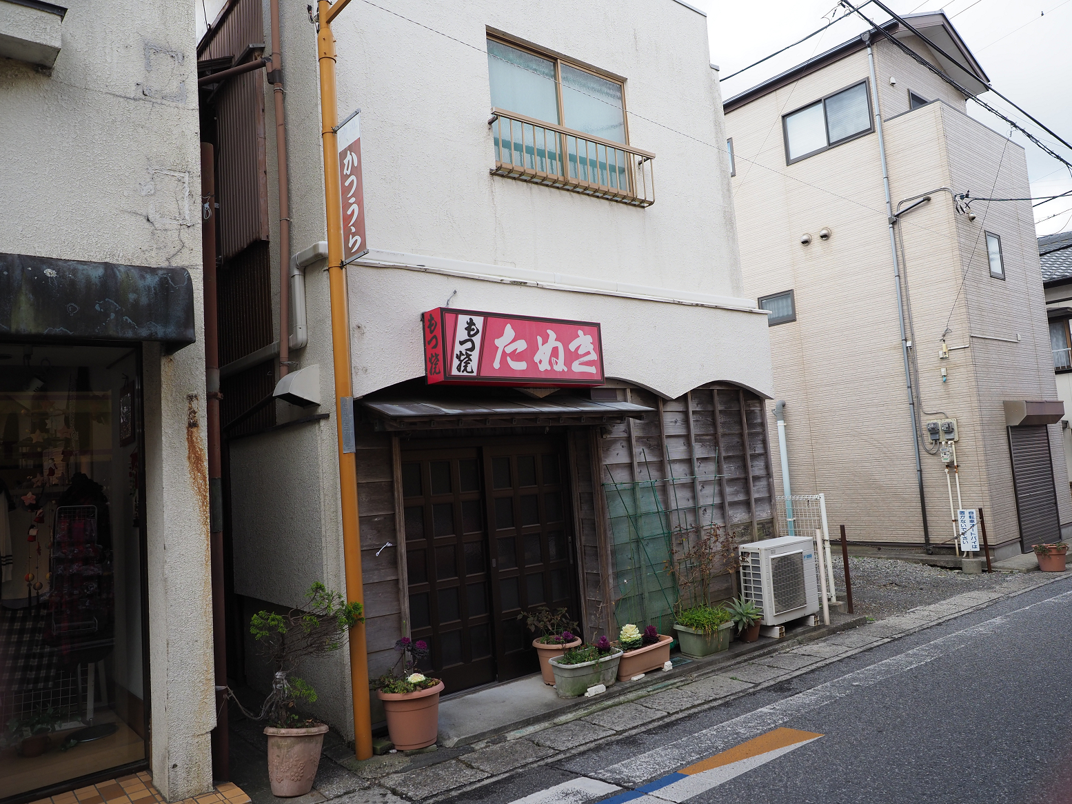 P2250476.jpg
