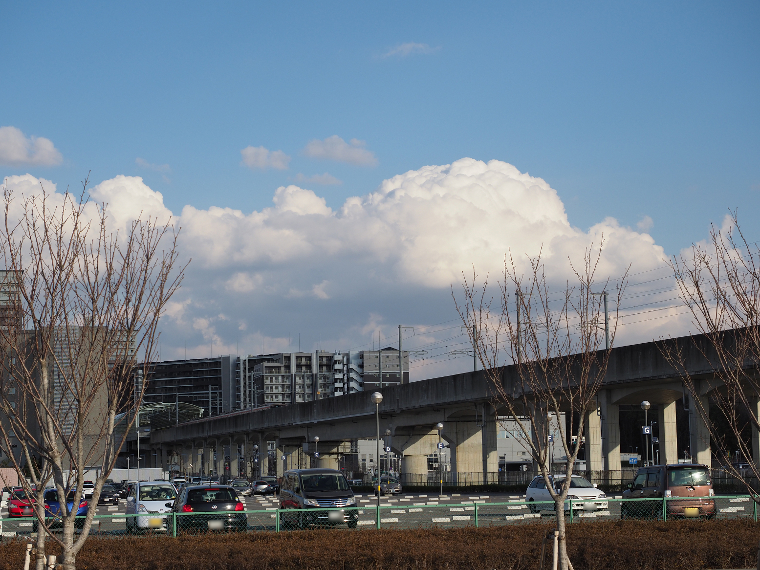 P2250595.jpg
