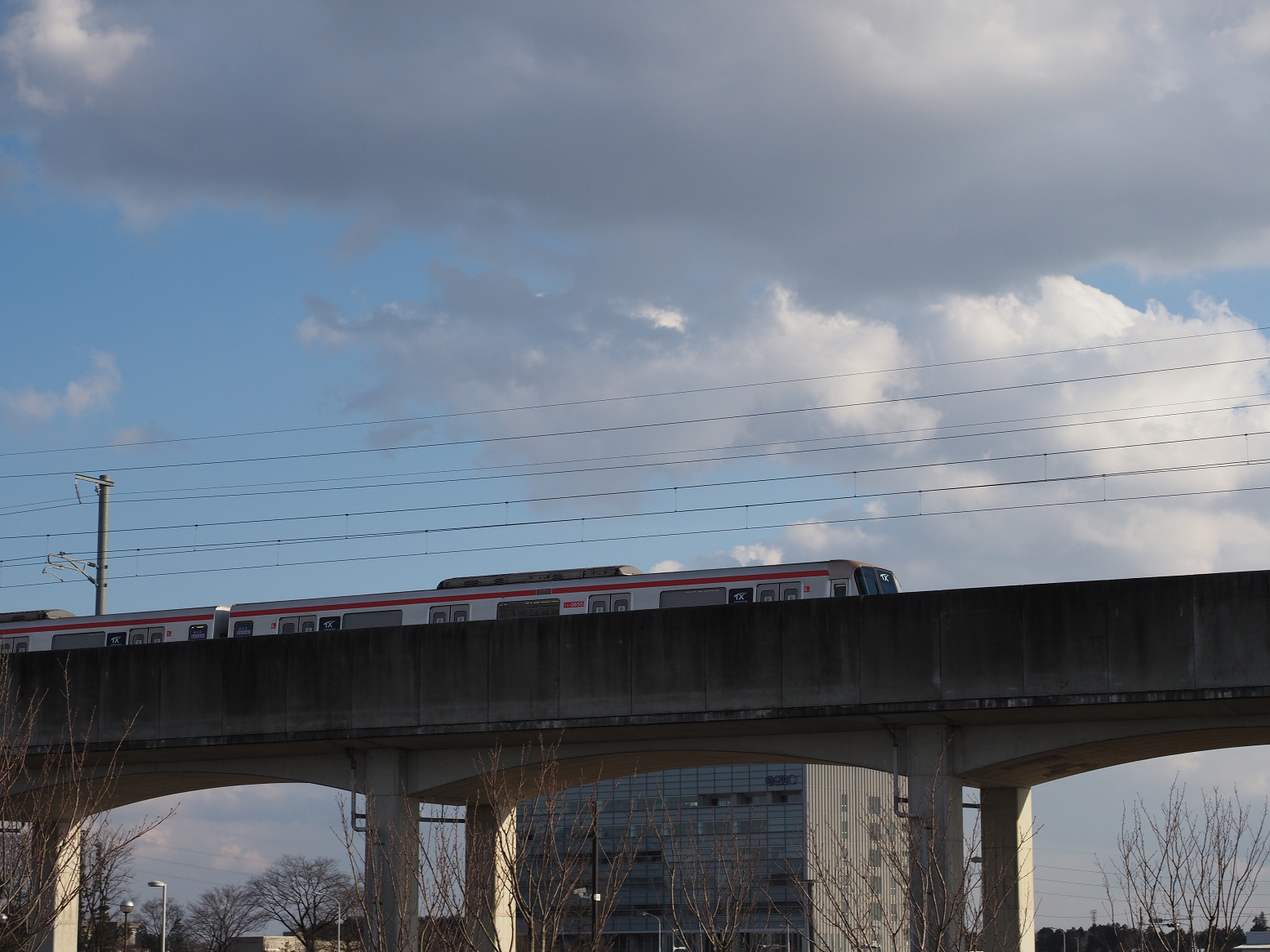 P2250596.jpg