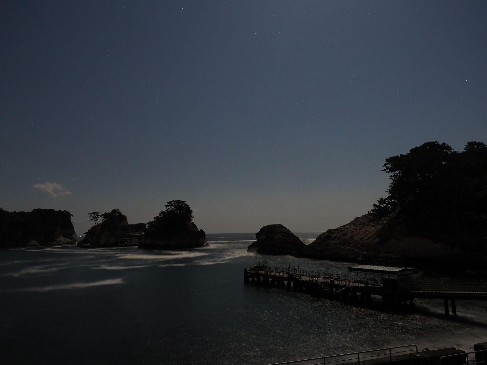 P3110010.jpg