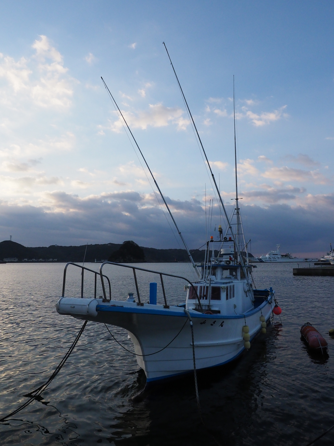 P3110030.jpg