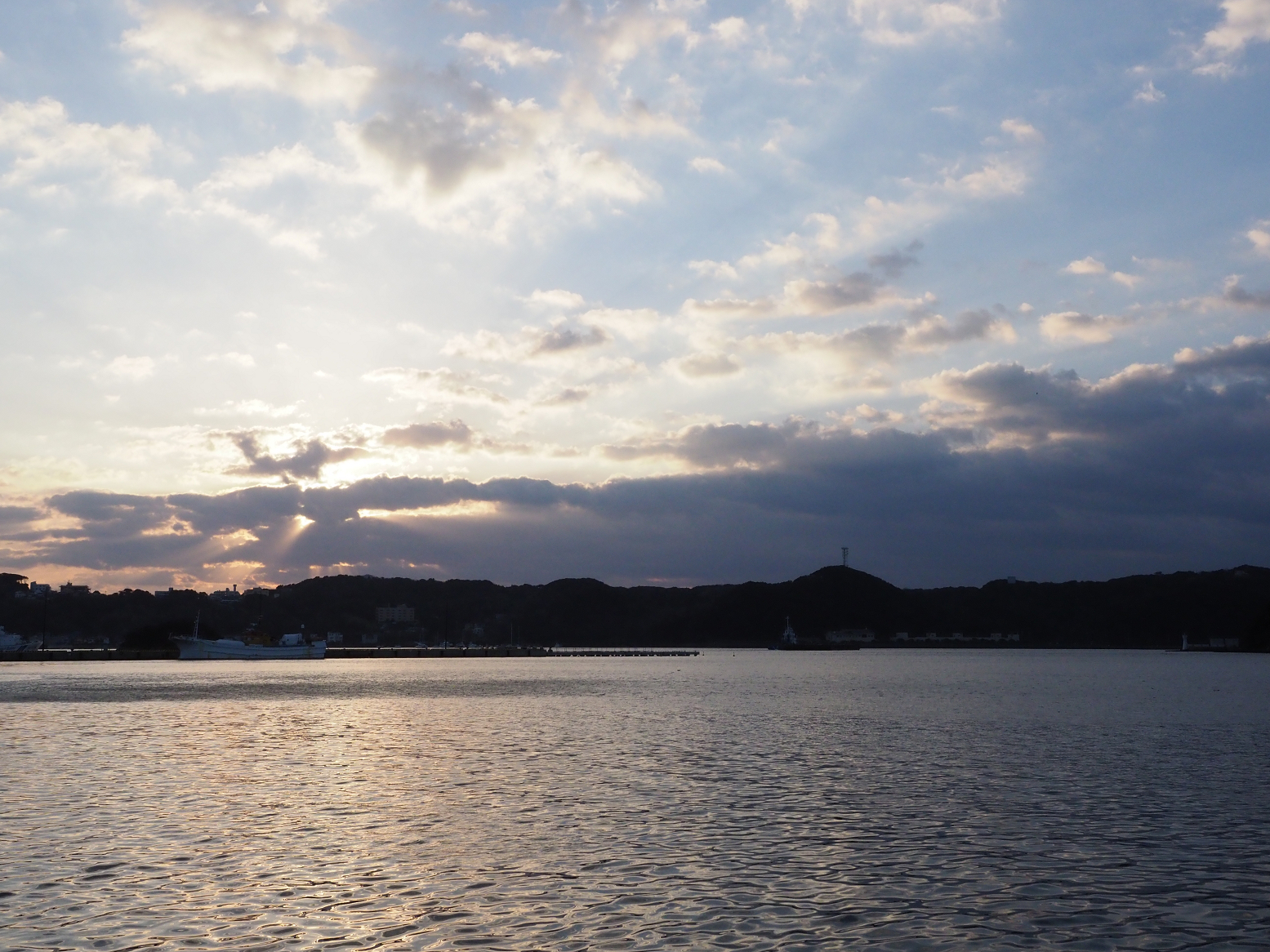 P3110031.jpg