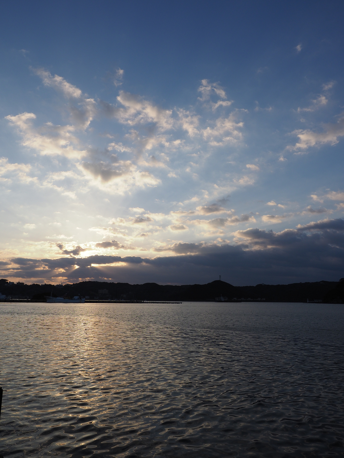 P3110032.jpg