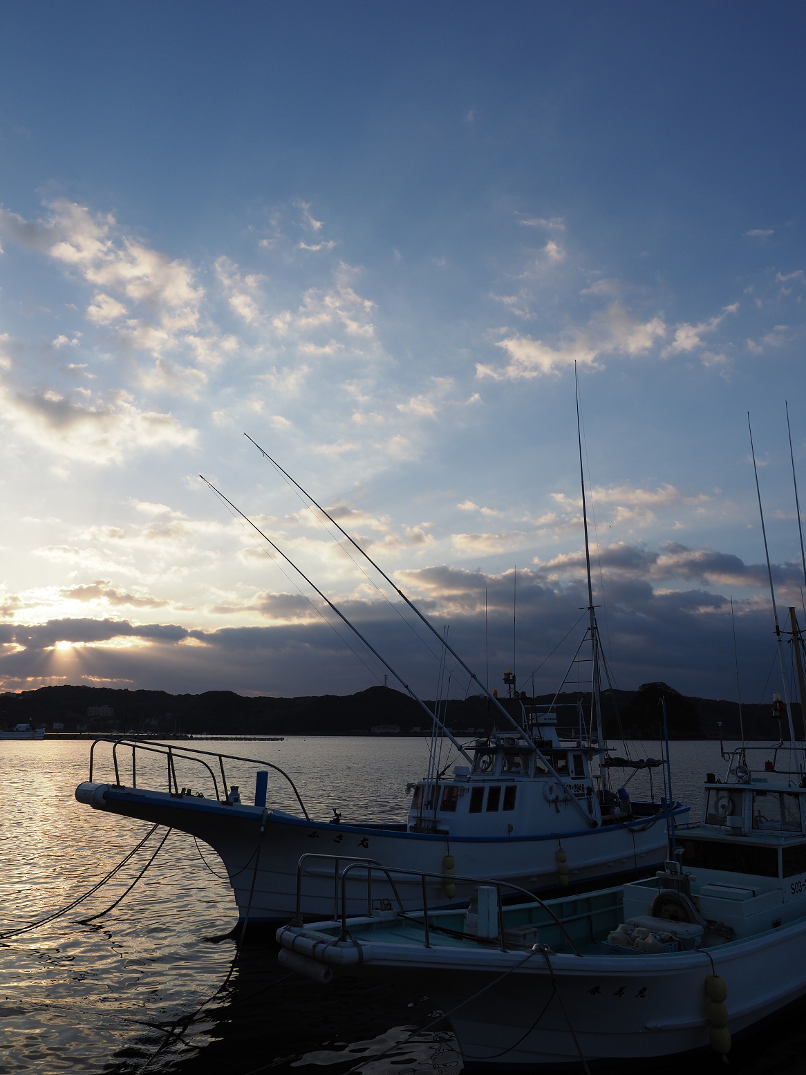 P3110036.jpg